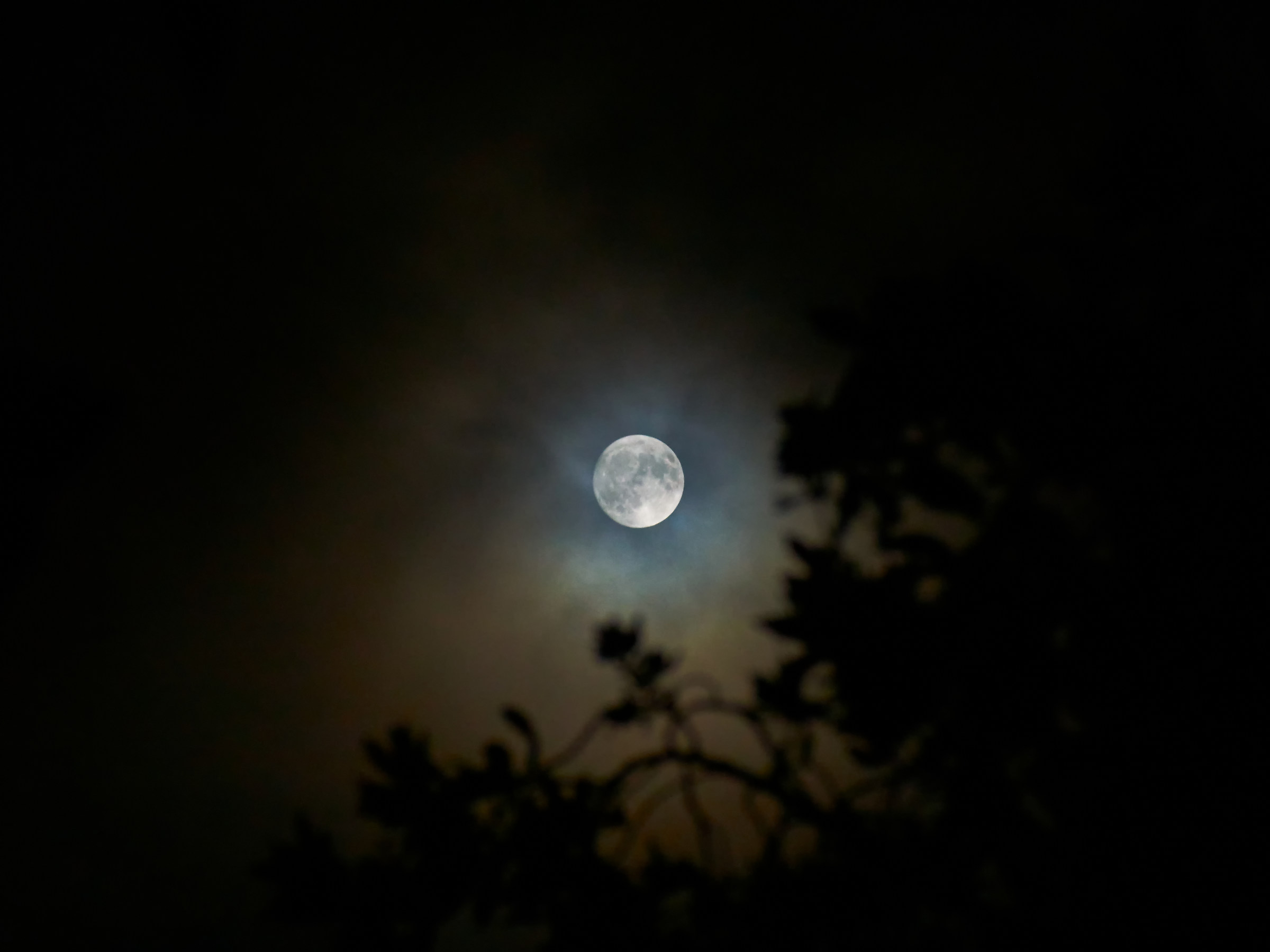 Luna piena del cacciatore