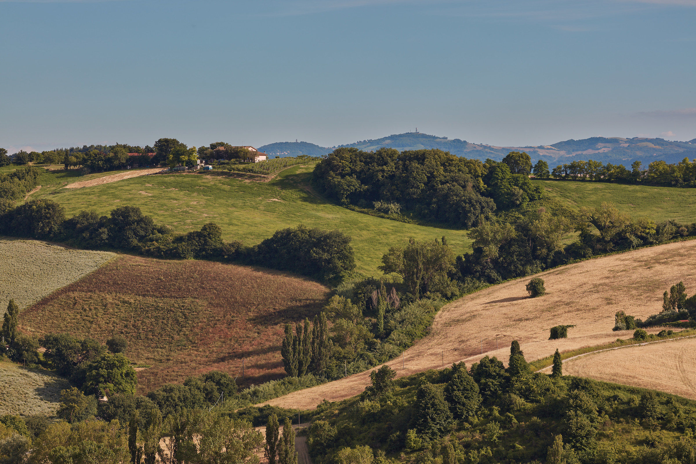 Marche landscape at the summer solstice