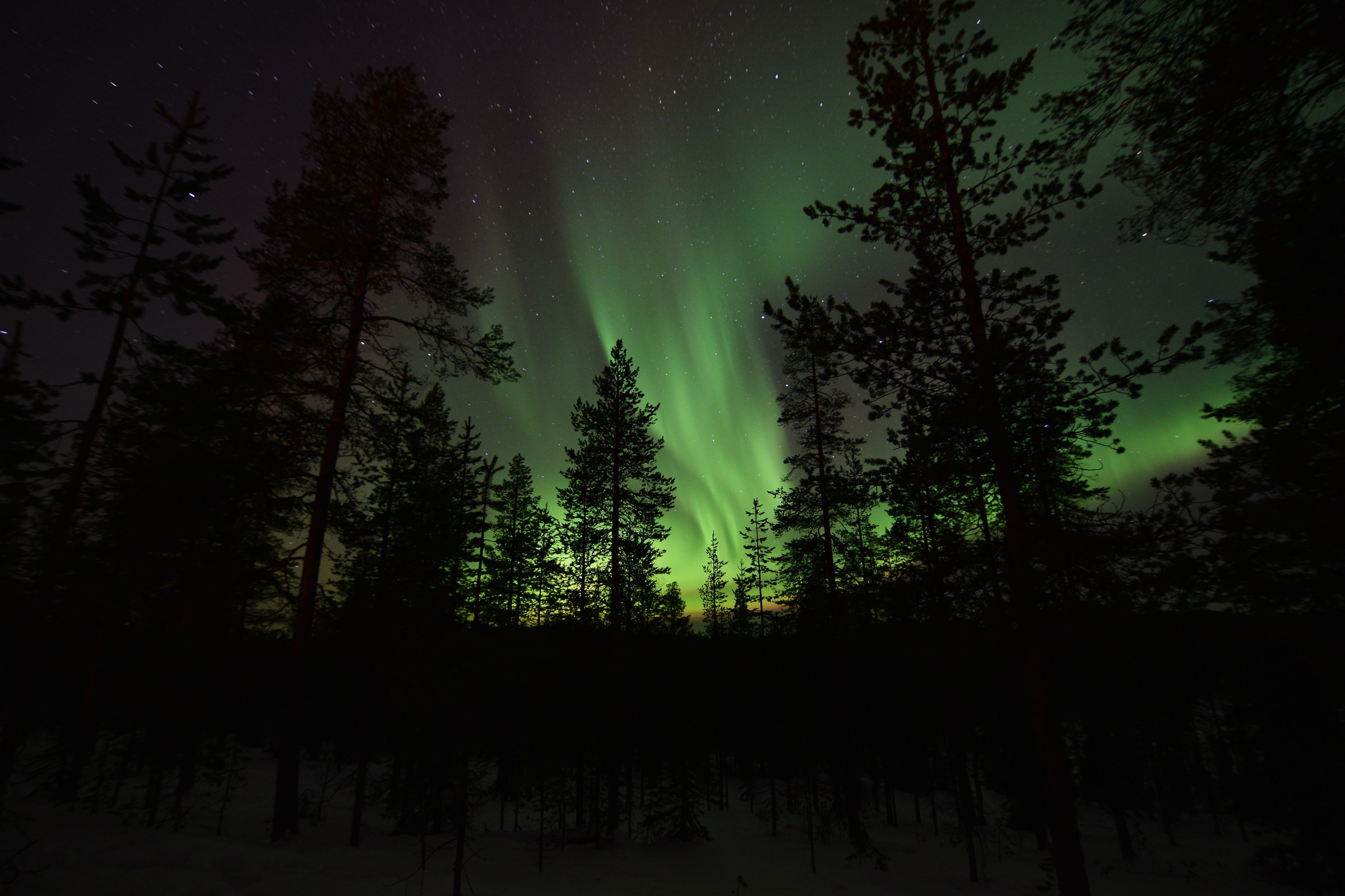 Aurora Borealis in Rovaniemi