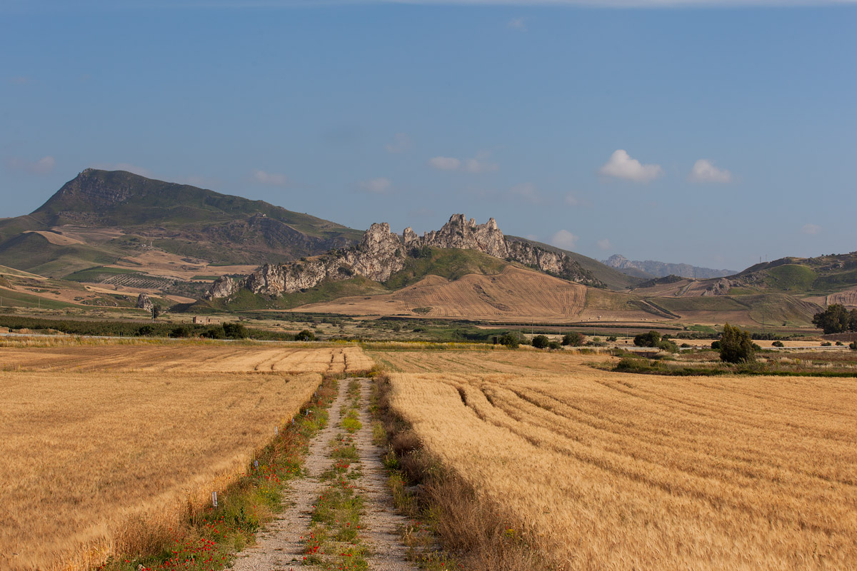 The road of wheat Riesi (Cl)