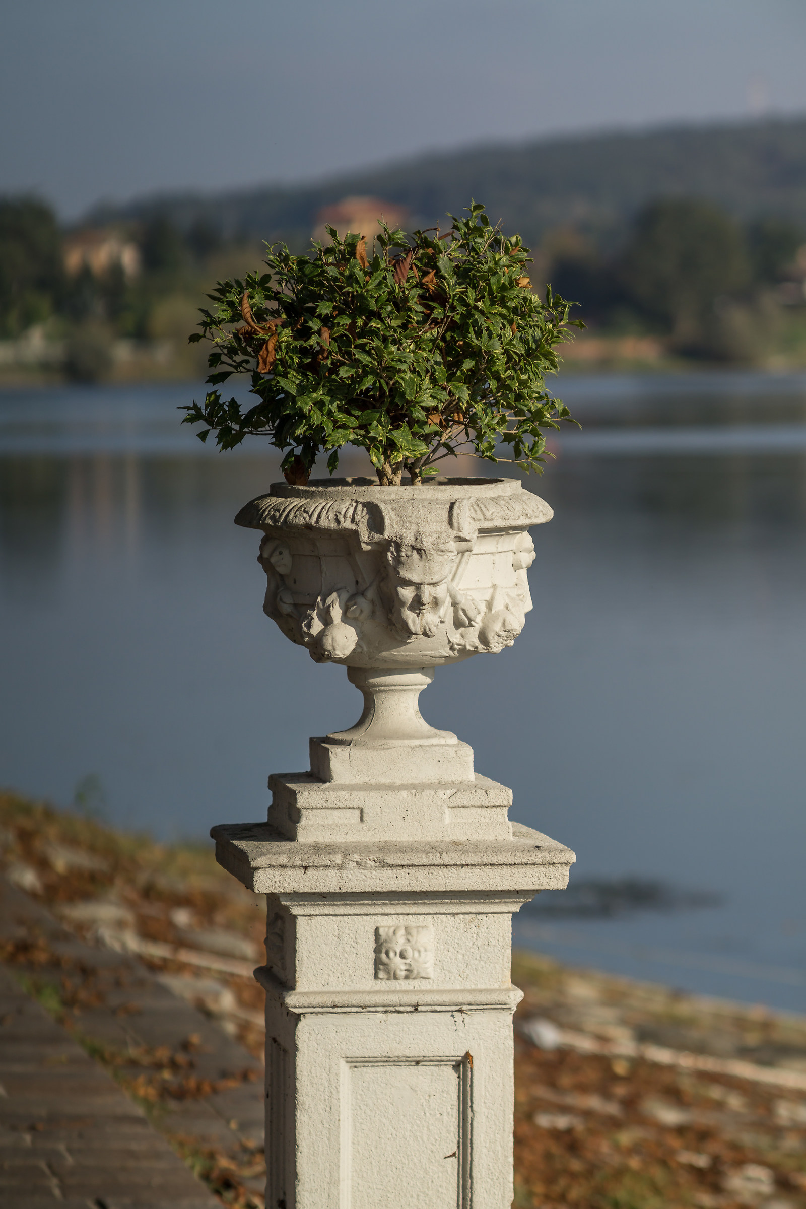 Zhongyi Lens Turbo II e Nikkor 135mm f/2.8 Ai-S - 2