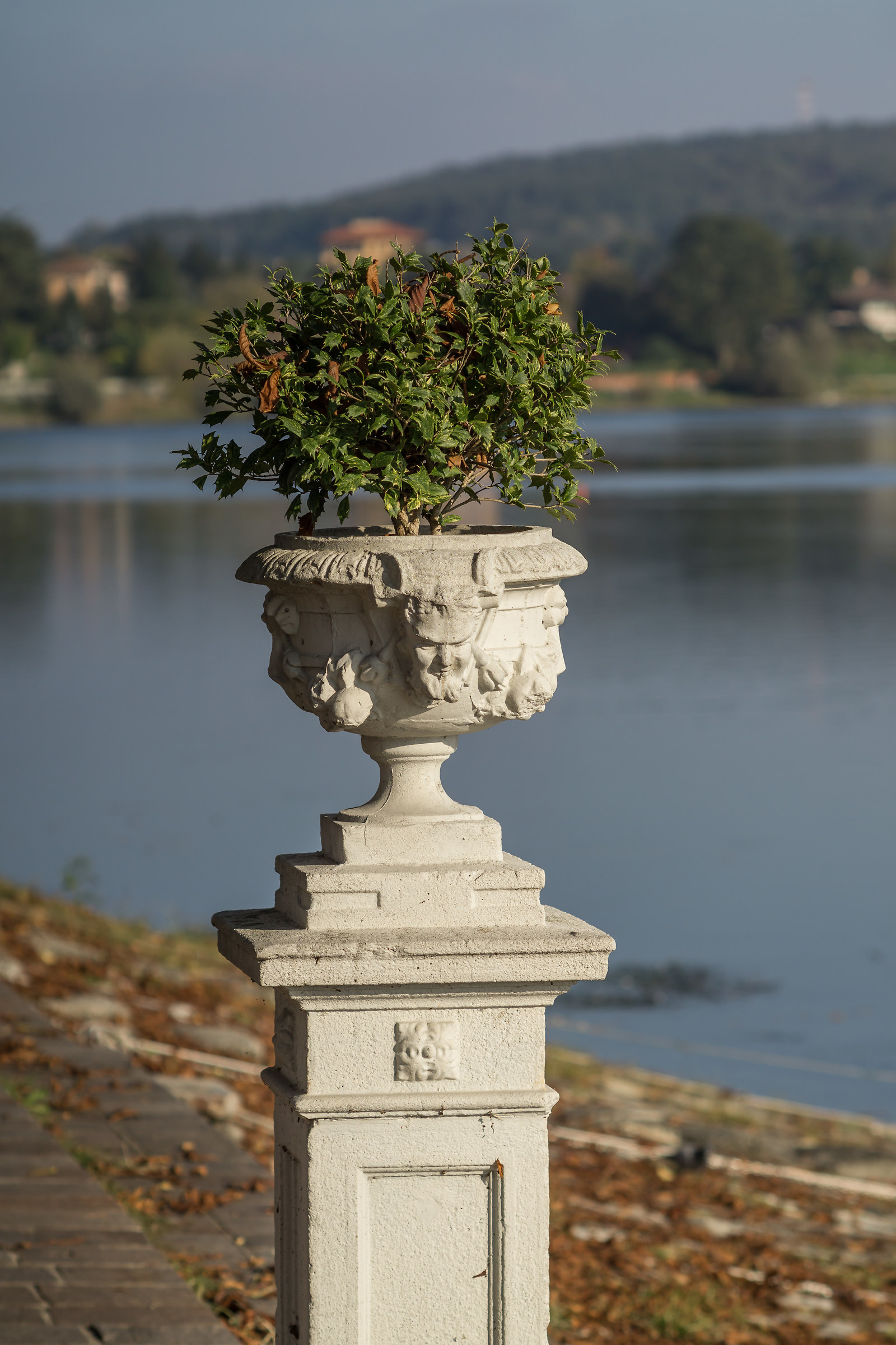 Zhongyi Lens Turbo II e Nikkor 135mm f/2.8 Ai-S - 3