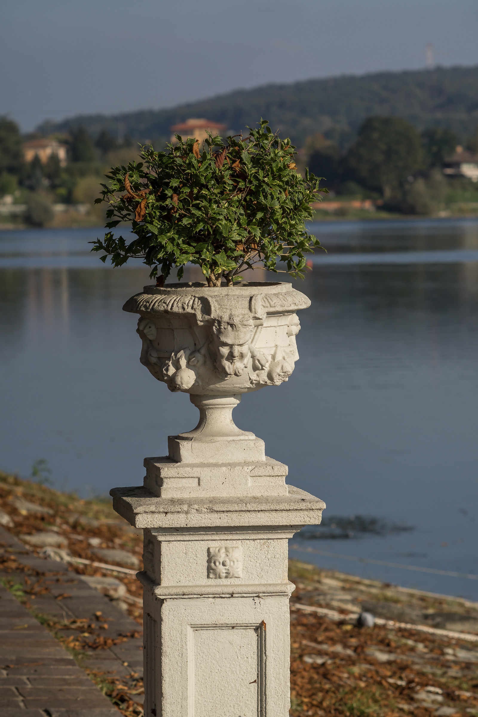 Zhongyi Lens Turbo II e Nikkor 135mm f/2.8 Ai-S - 4