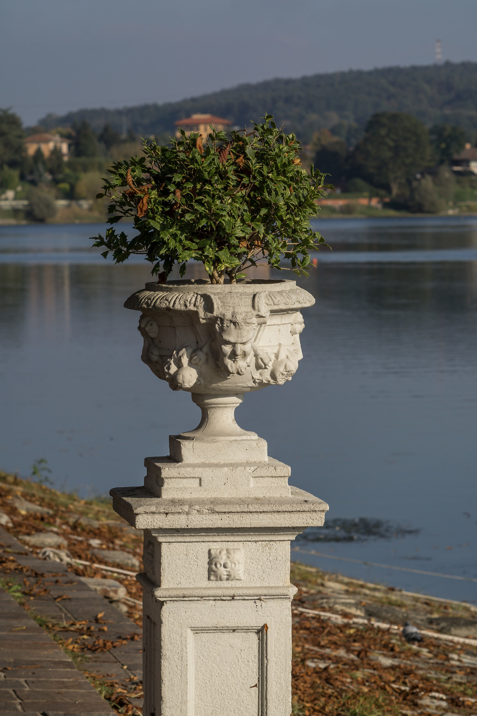 Zhongyi Lens Turbo II e Nikkor 135mm f/2.8 Ai-S - 5