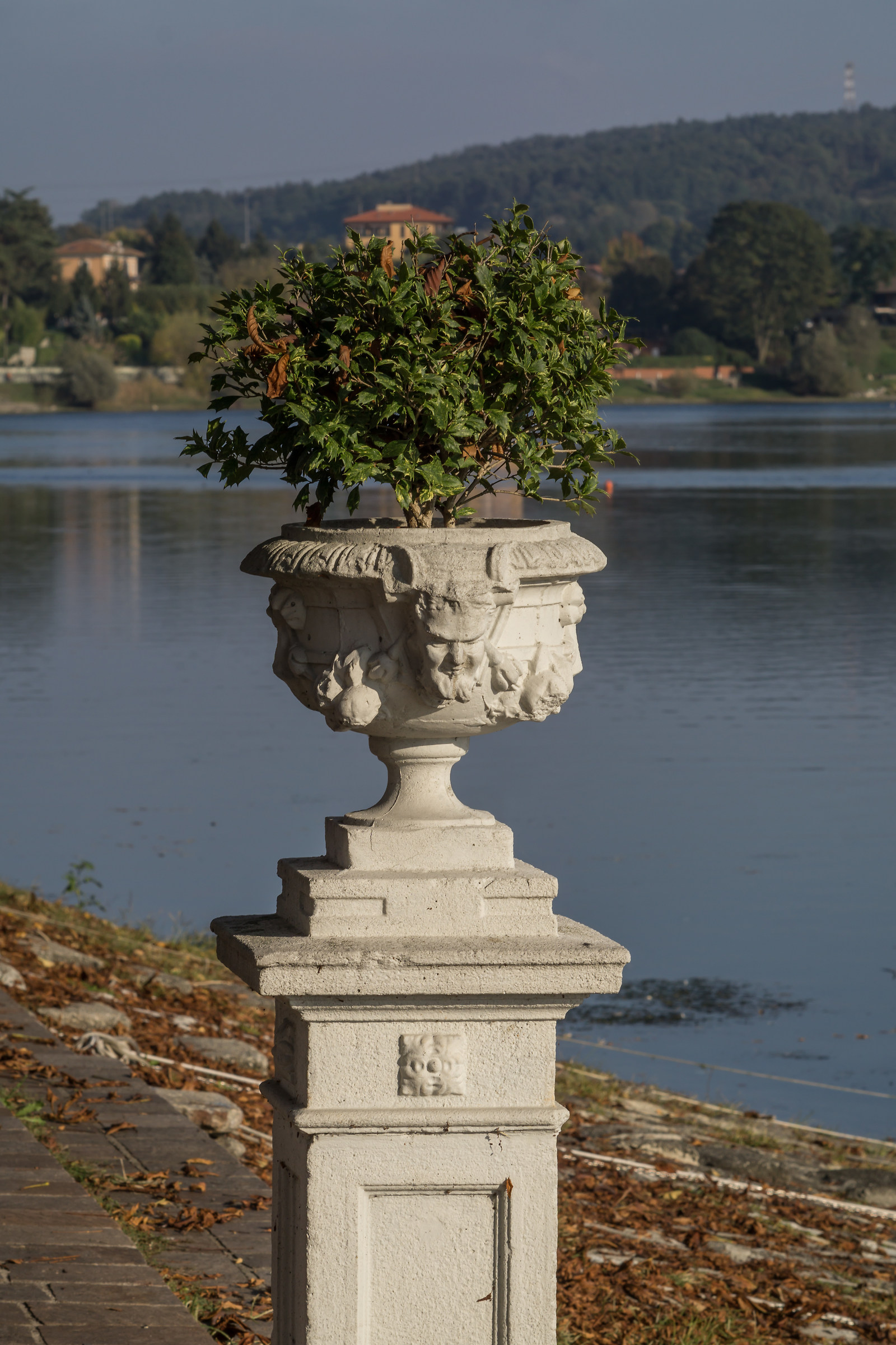 Zhongyi Lens Turbo II e Nikkor 135mm f/2.8 Ai-S - 6