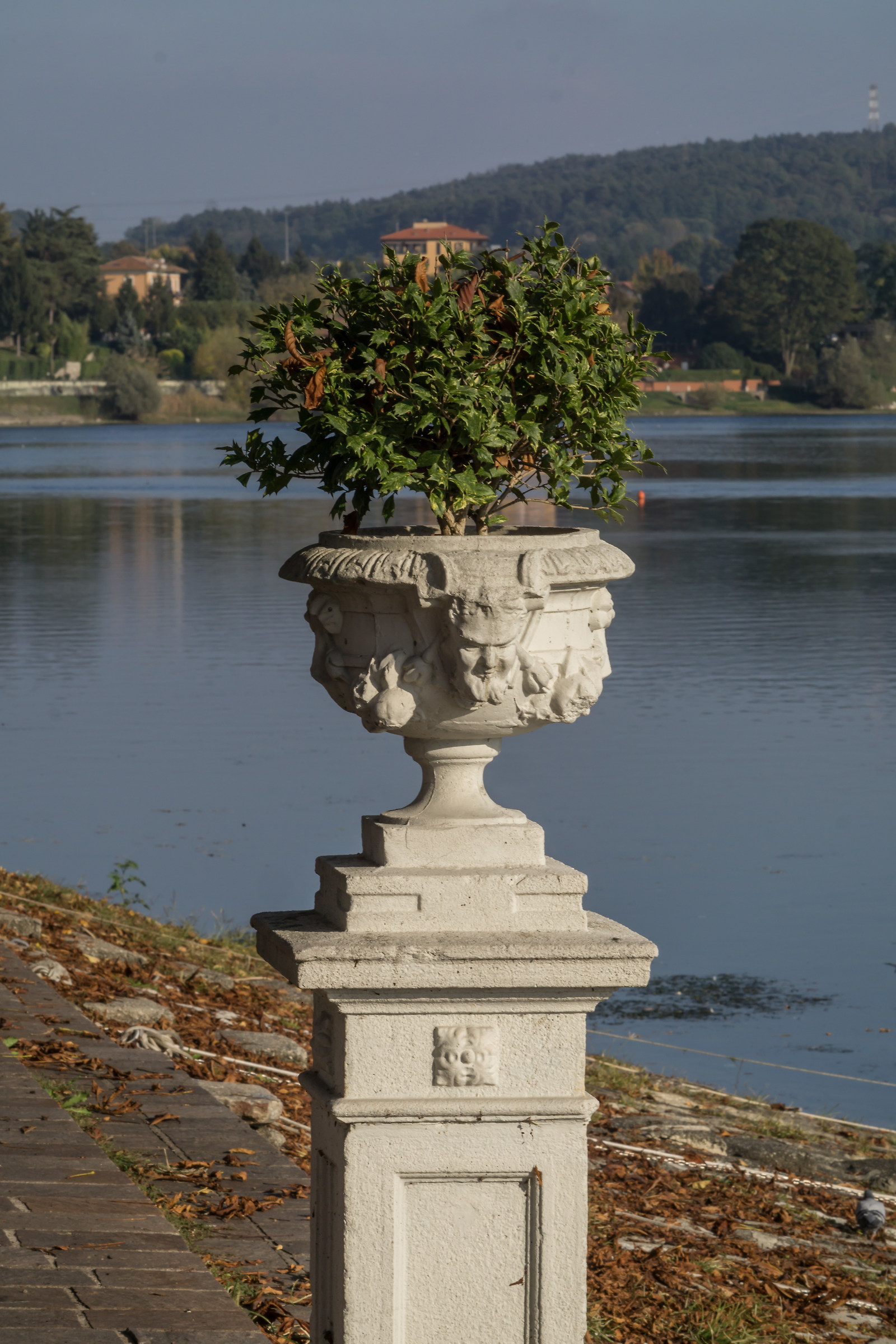 Zhongyi Lens Turbo II e Nikkor 135mm f/2.8 Ai-S - 7