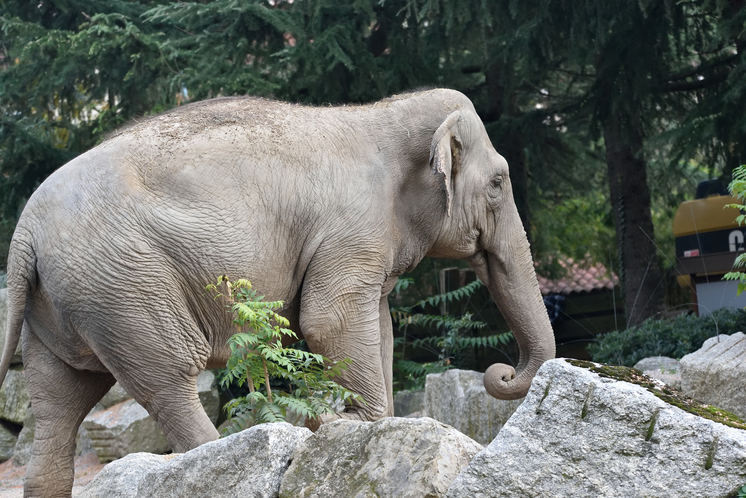 Parco delle Cornelle
