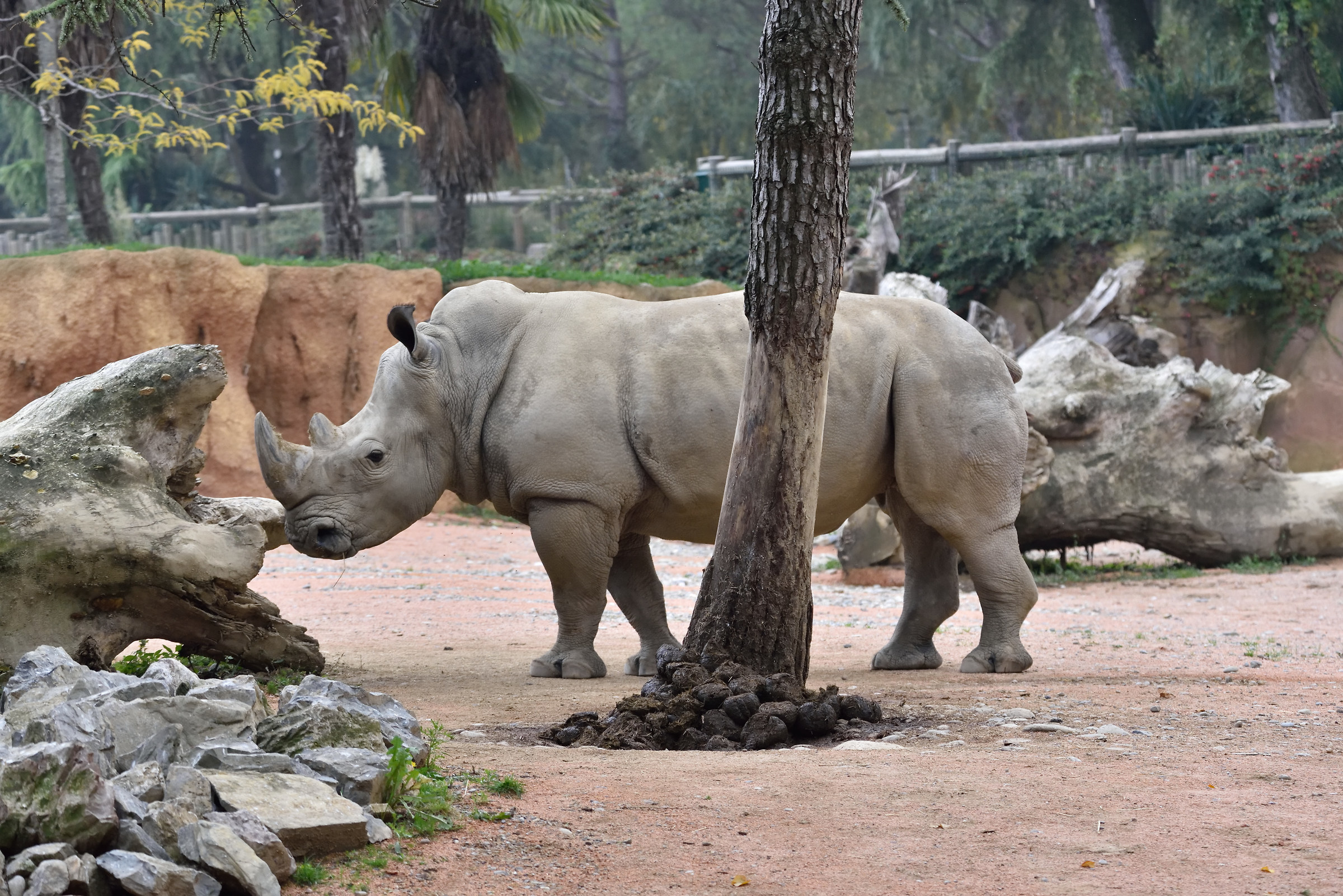 Parco delle Cornelle