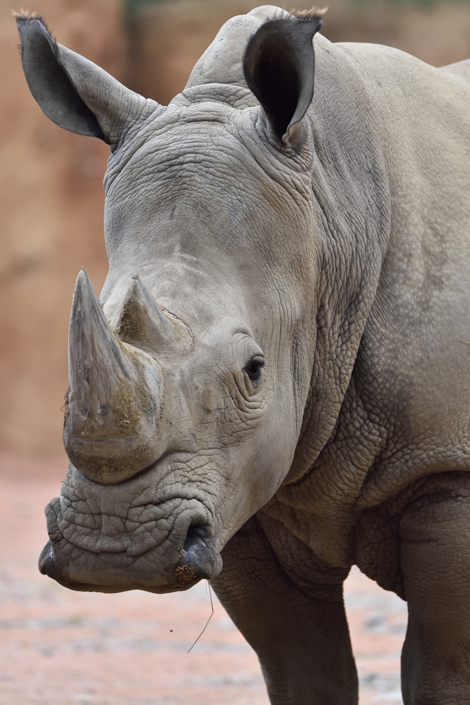 Parco delle Cornelle