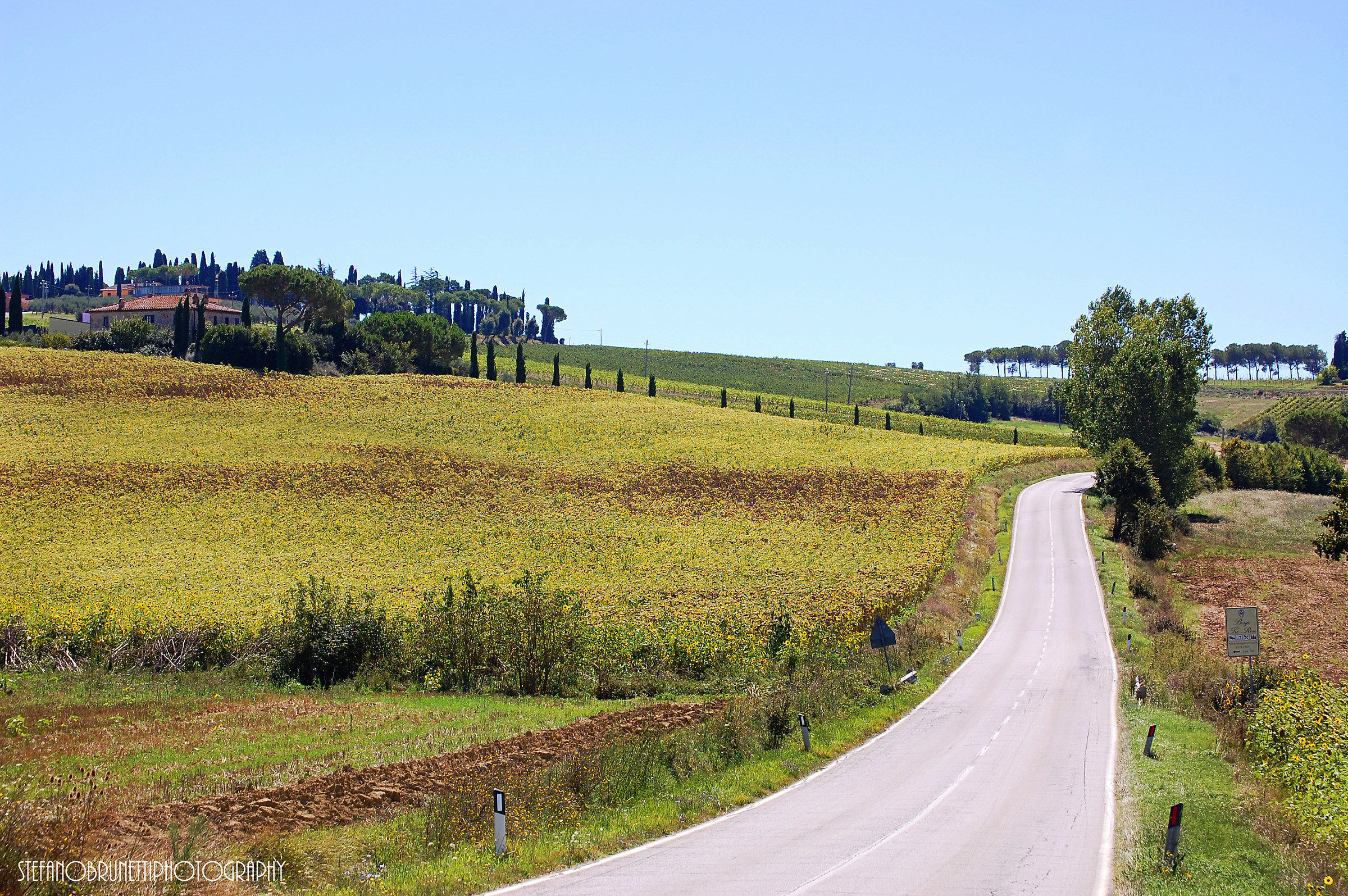 Tipical Country street - Cortona
