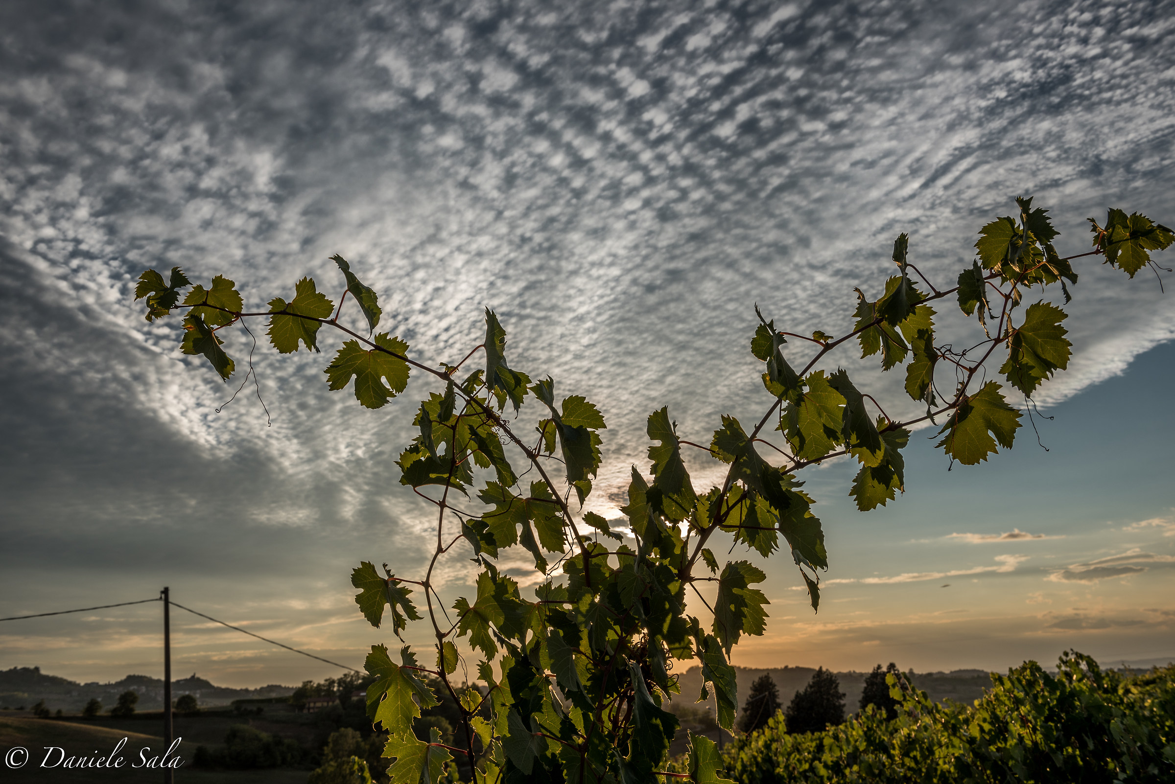 apriti cielo...le strade del vino colli tortonesi