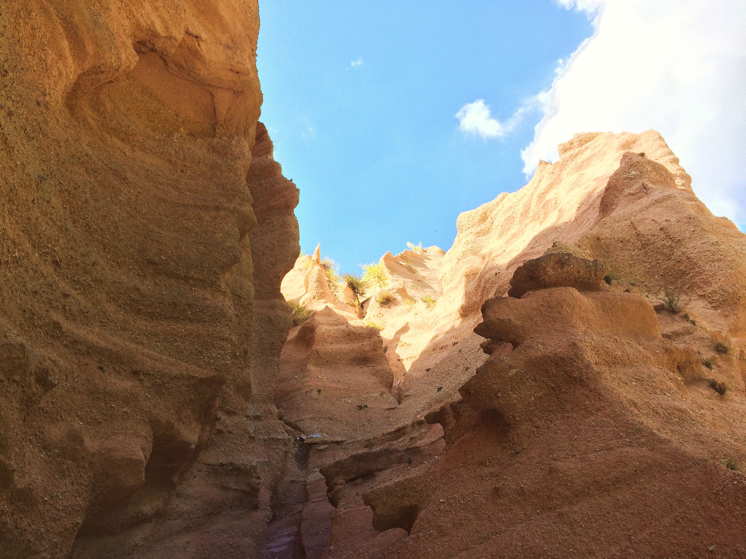 Lame Rosse