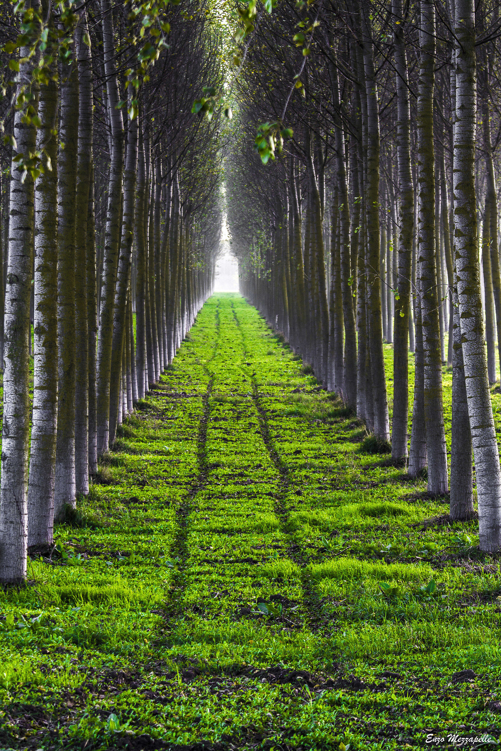 Paradise destination