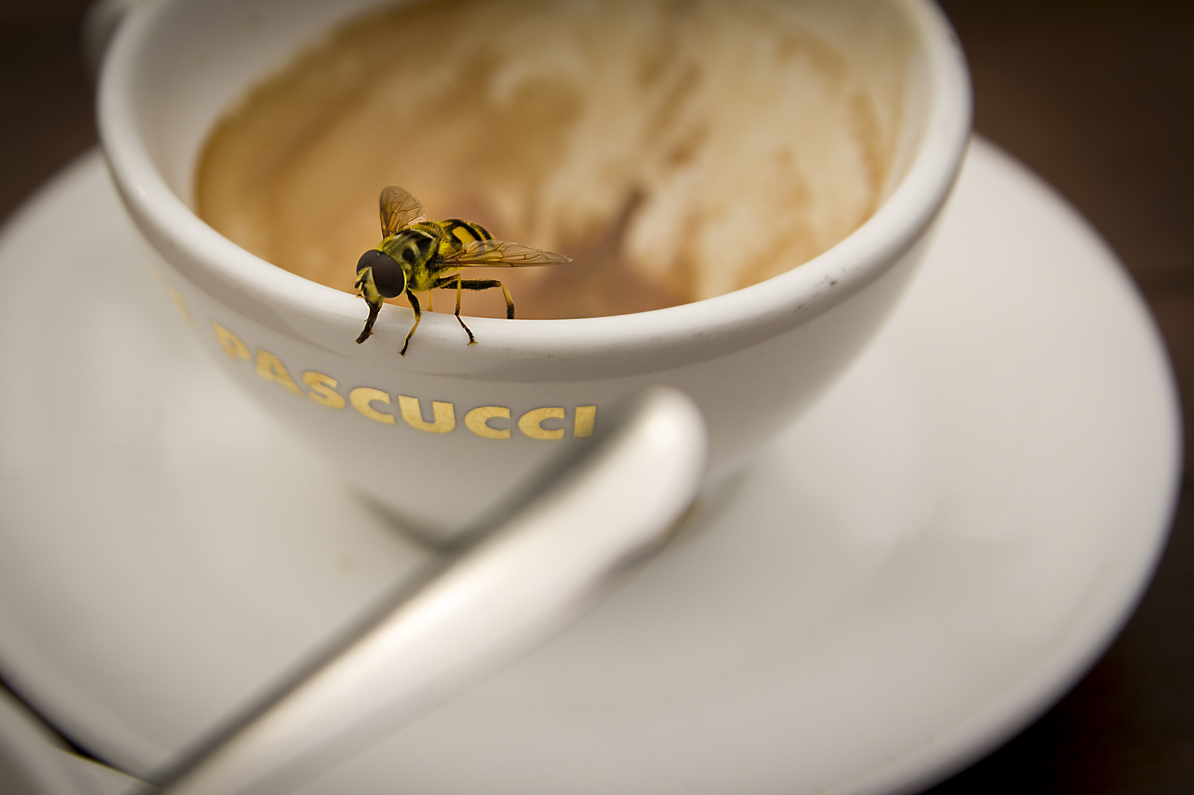 Un Caffè al volo....