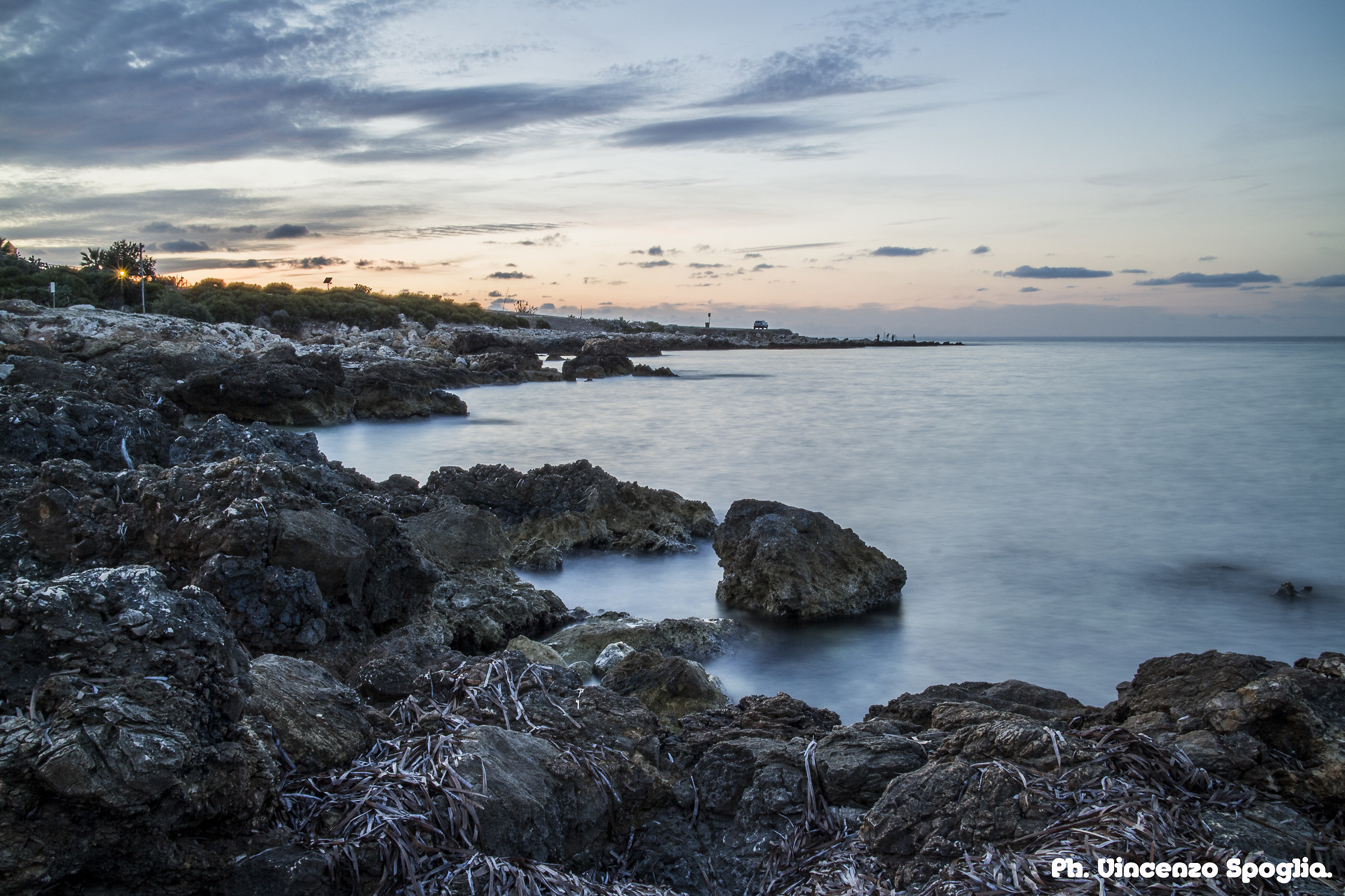 Sea of ??Bonagia (Tp)