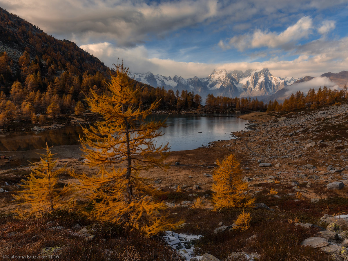 Waiting for the evening