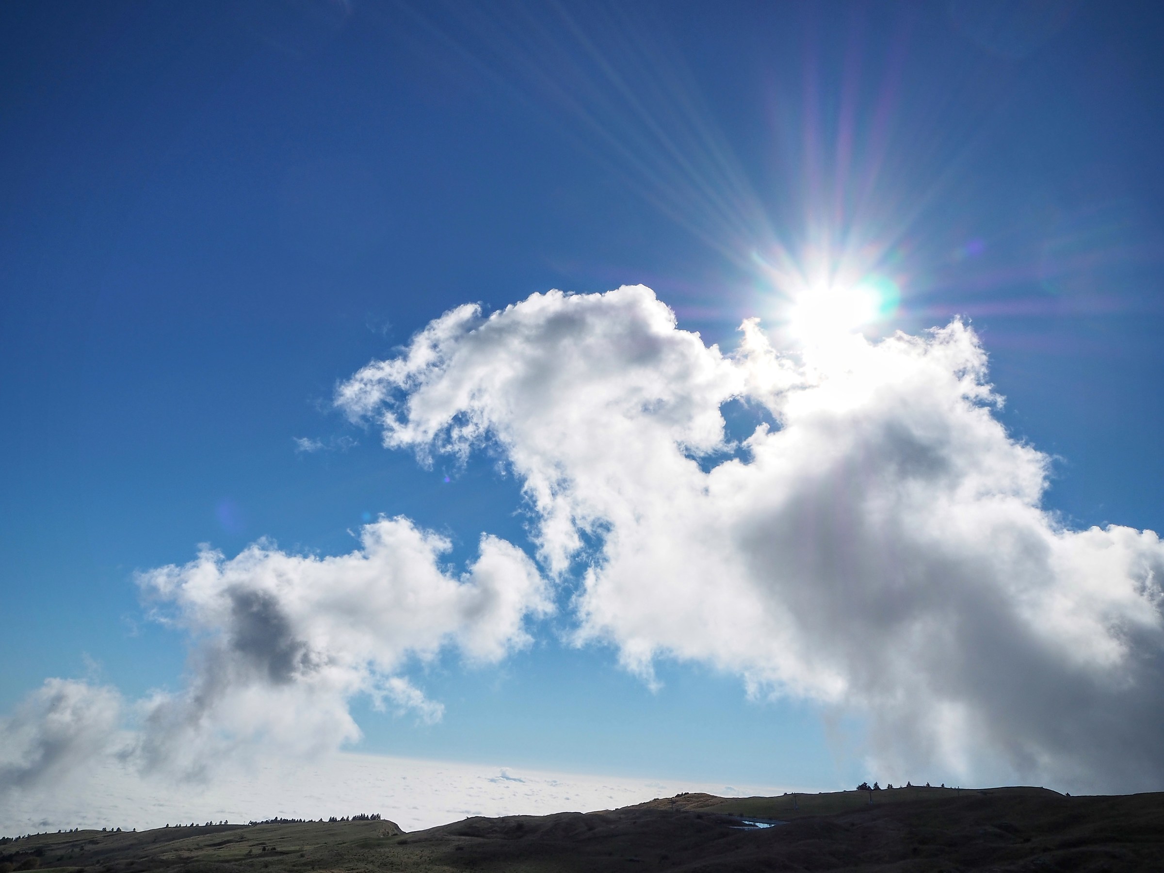 Sole in Carpegna su distesa bianca