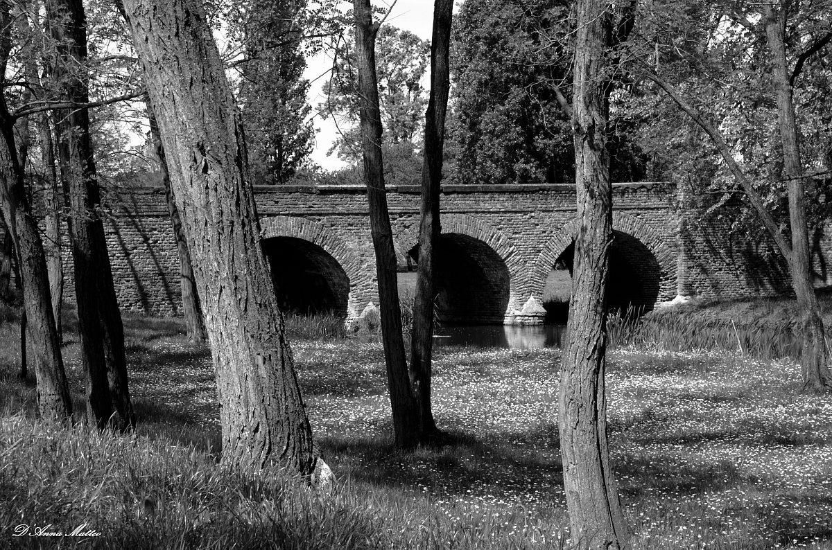 through the Middle Ages