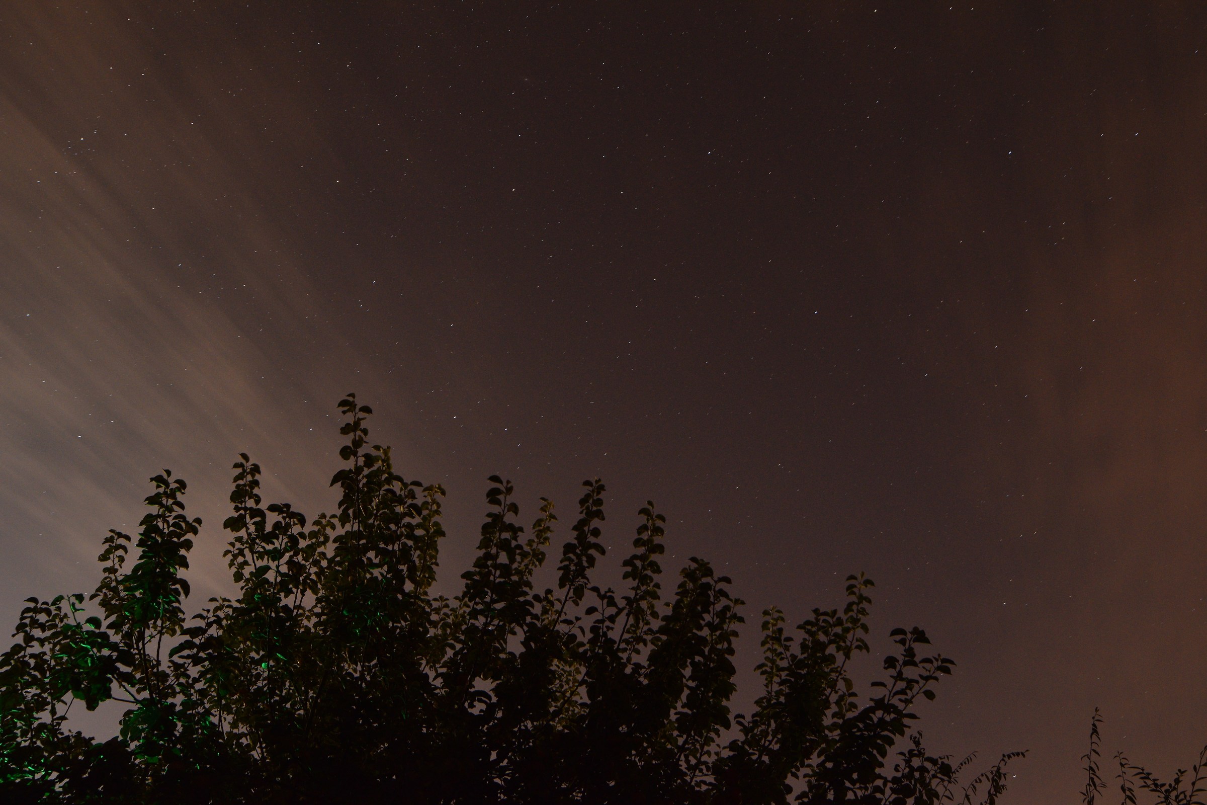 Look at those stars!