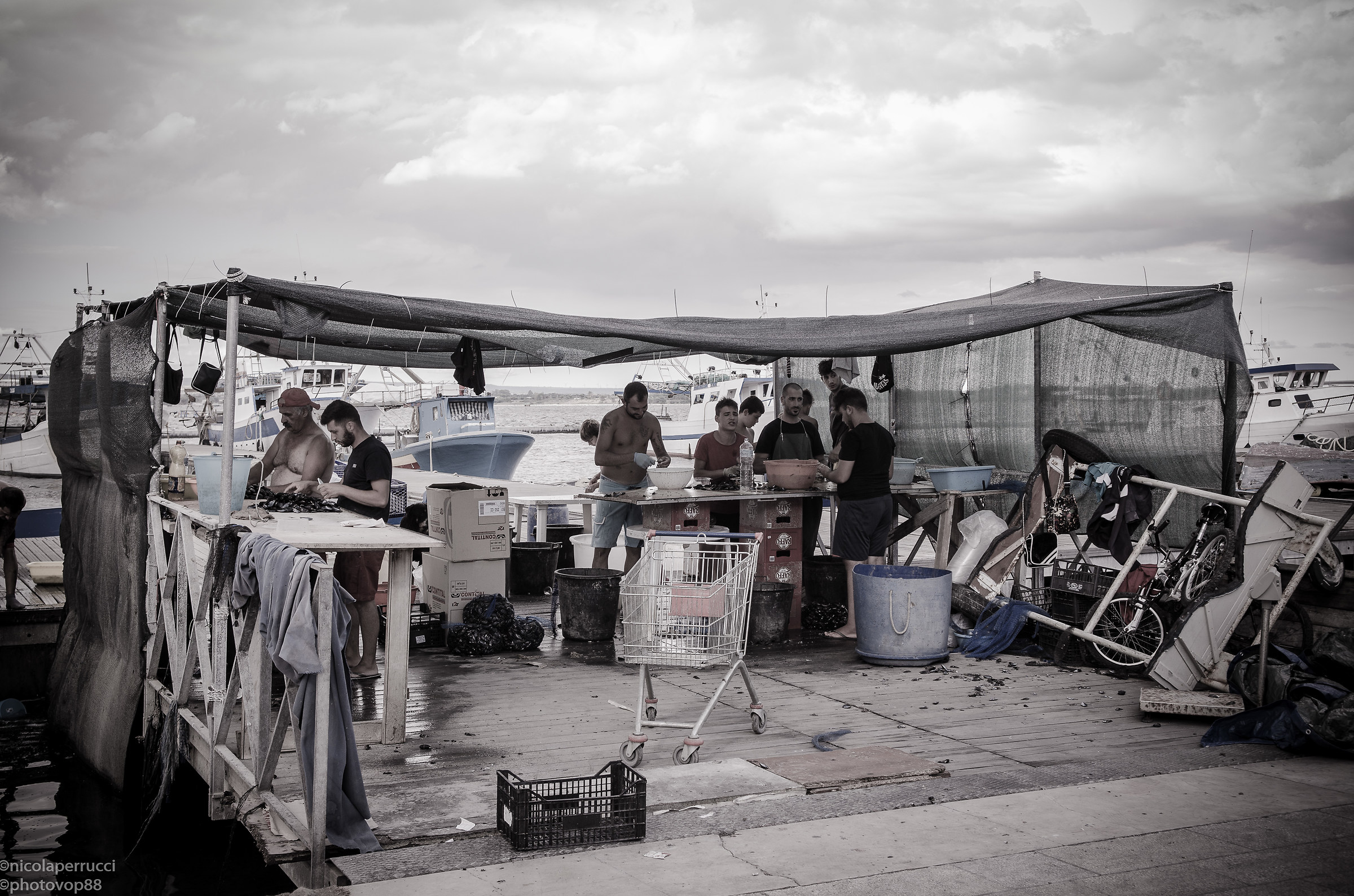 Le cozze di...Taranto