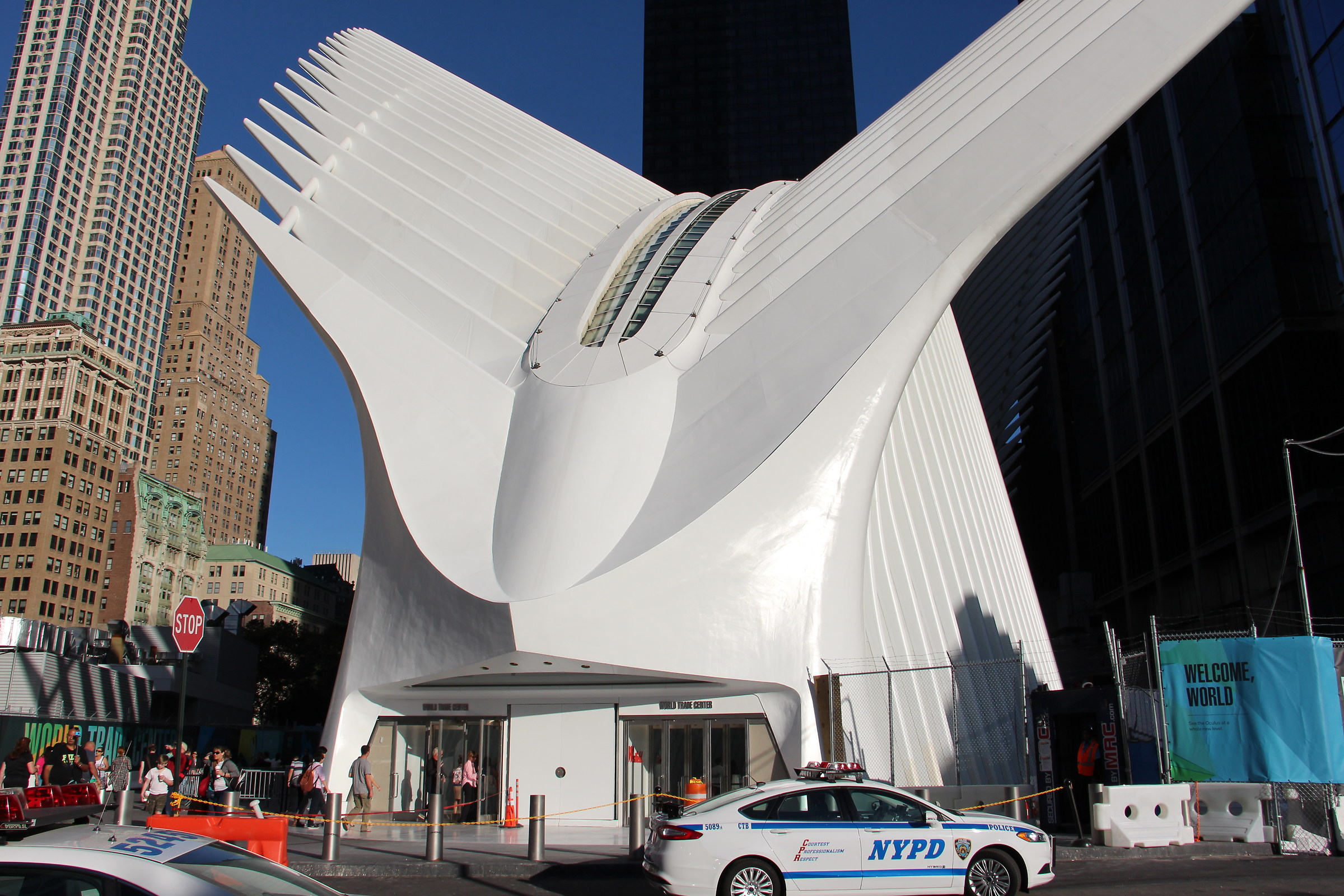 NY Il luogo della rinascita