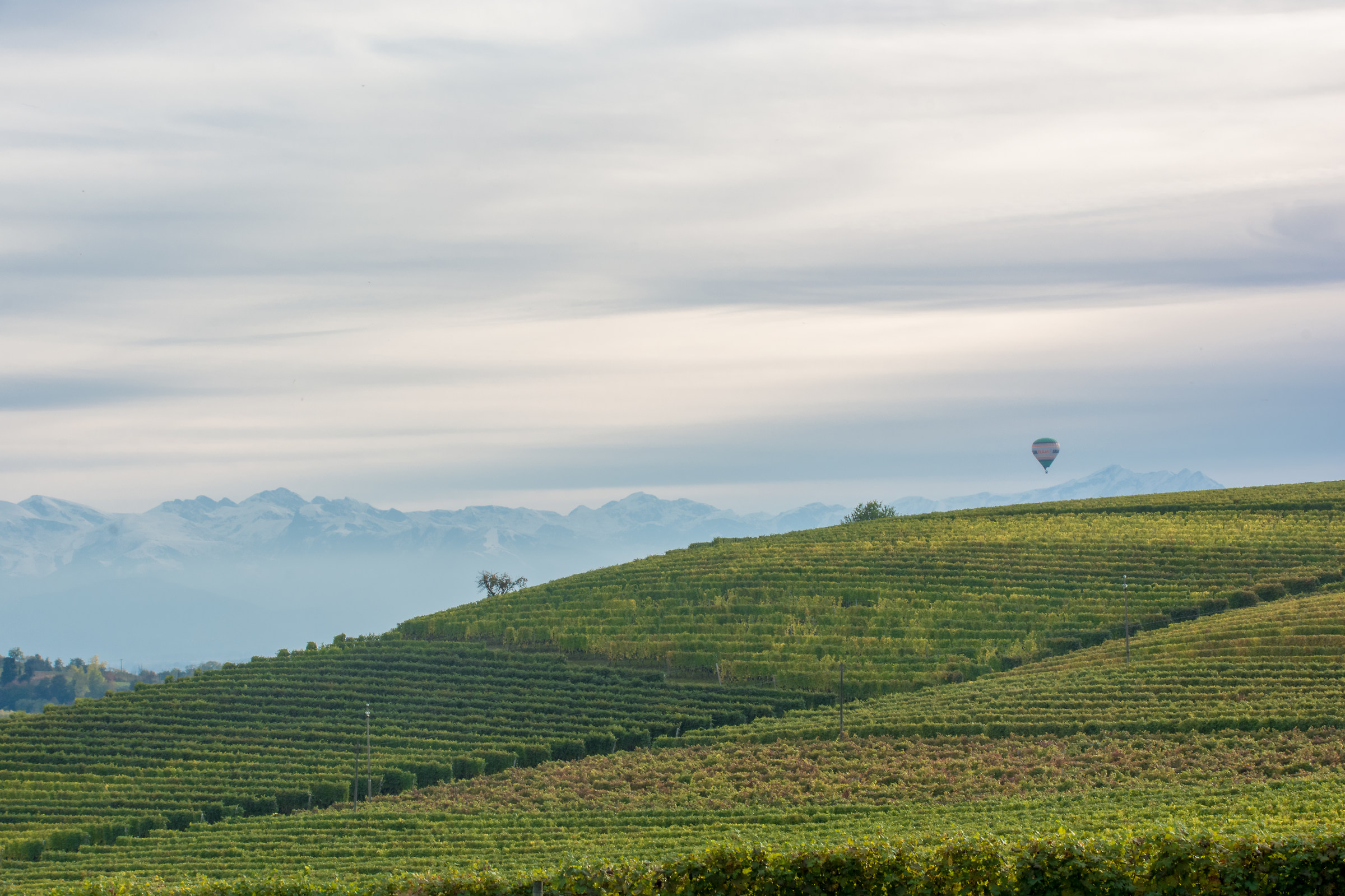 Autumn in the Langhe