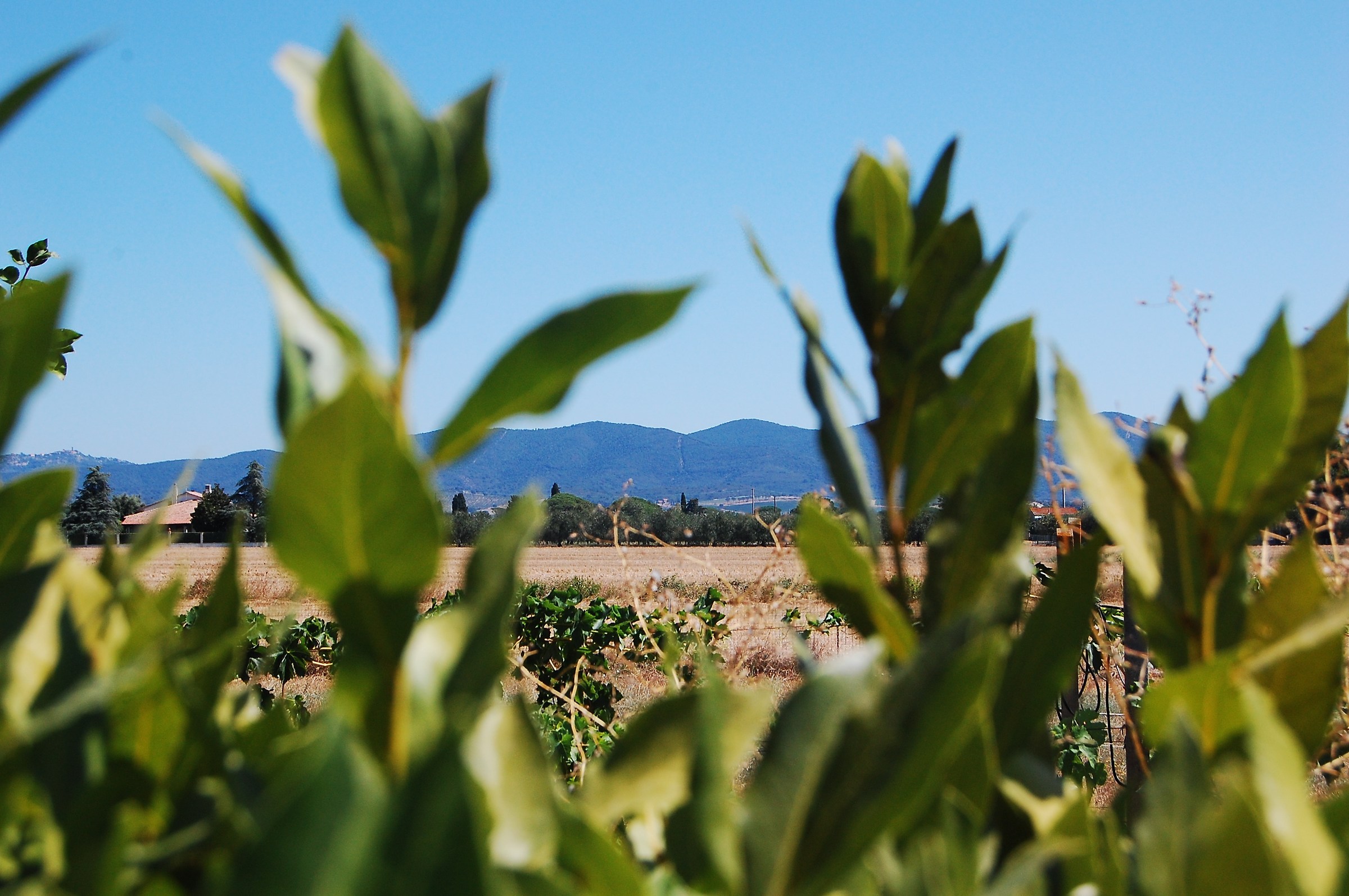 There is always something behind