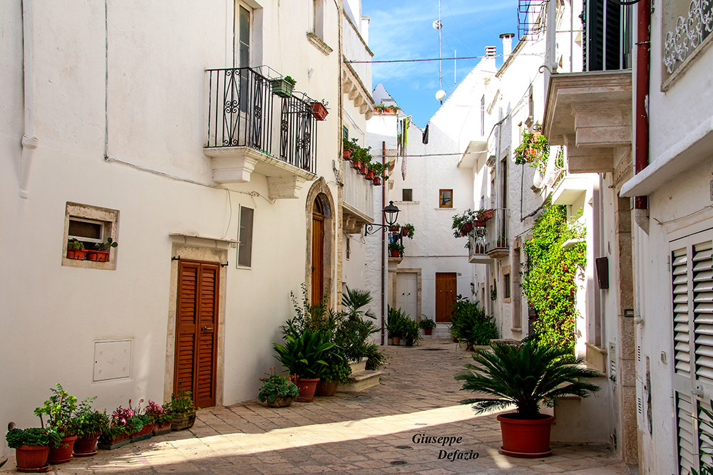 bianco e colori di Locorotondo