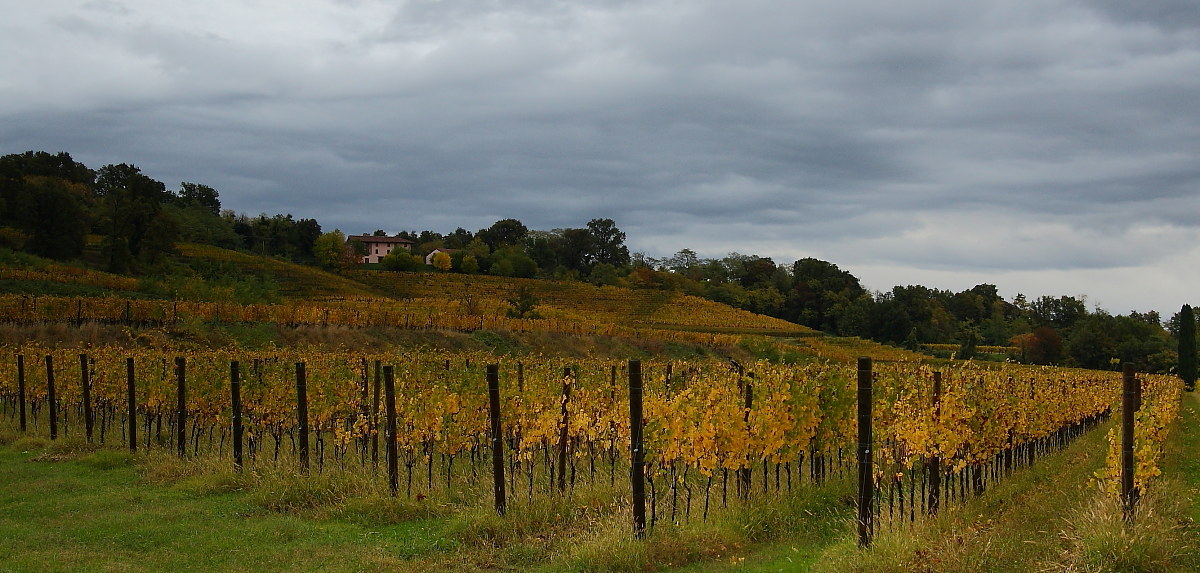 The colors of 'autumn