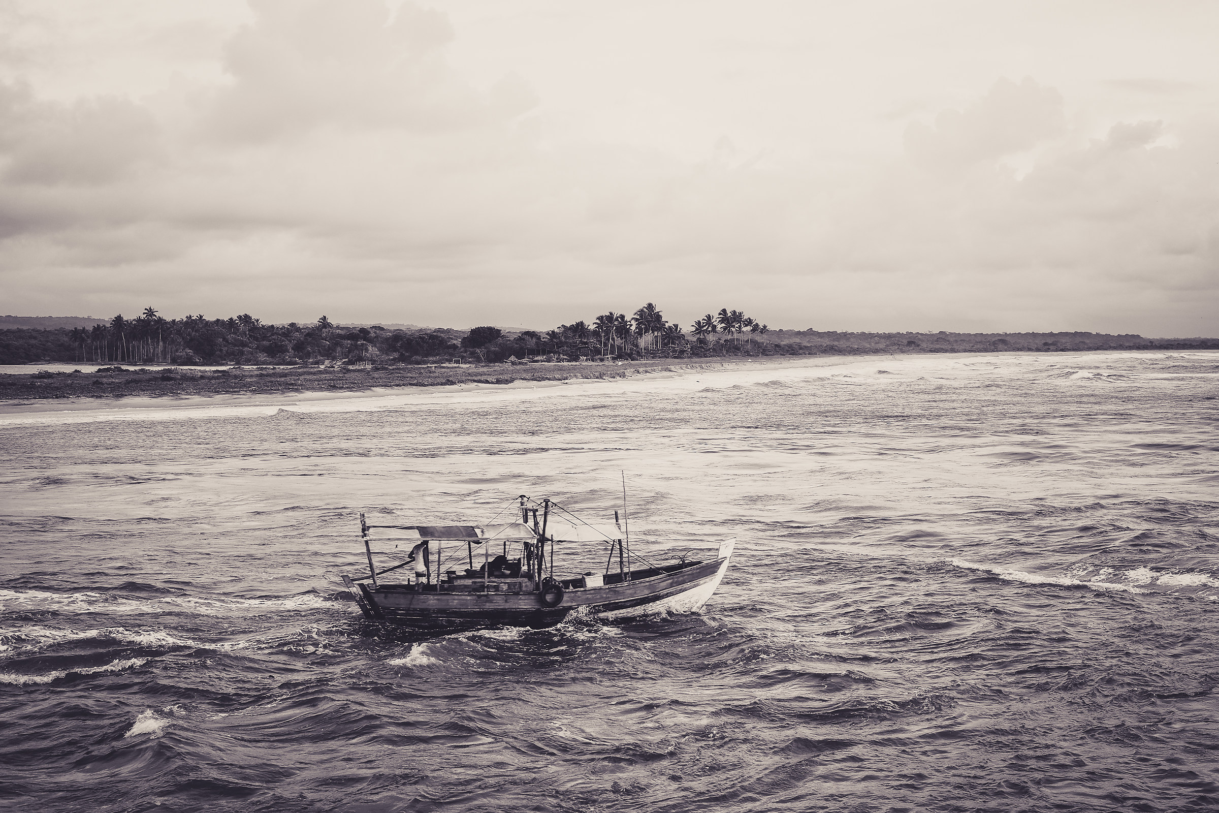 il cercatore di Robalo