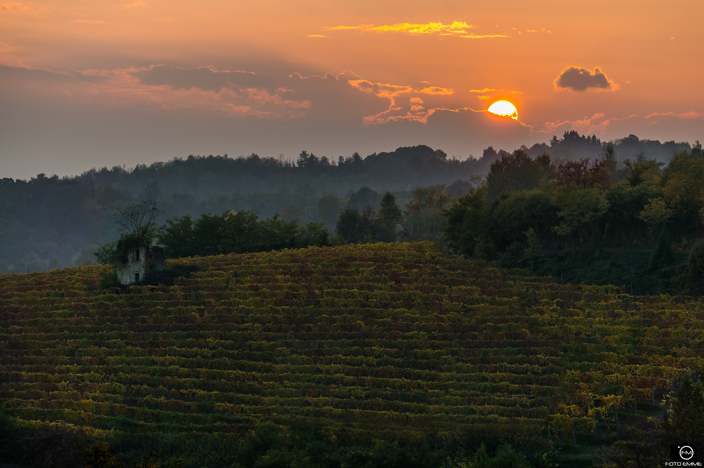 The hills of Monferrato