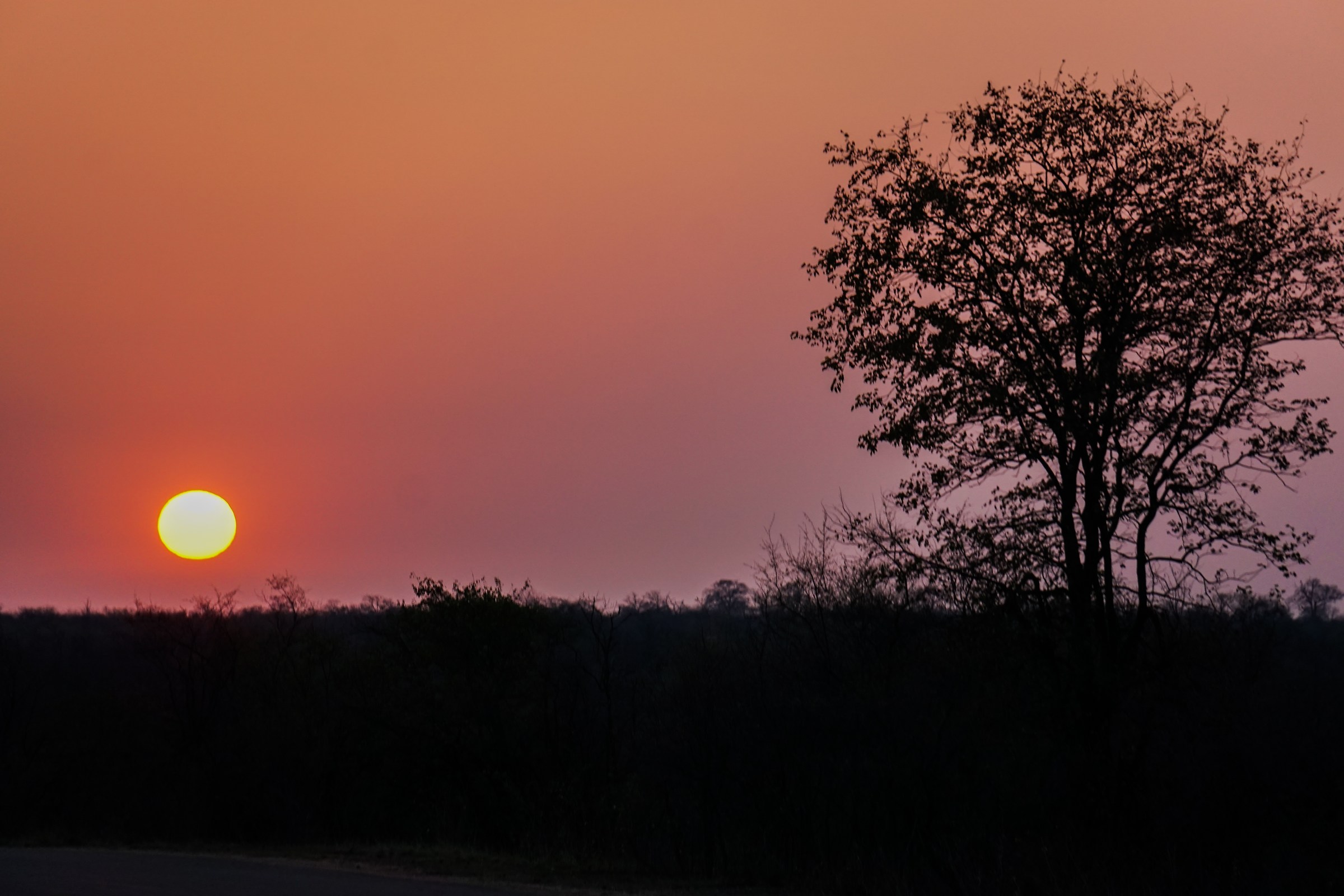 sunset in the kruger park