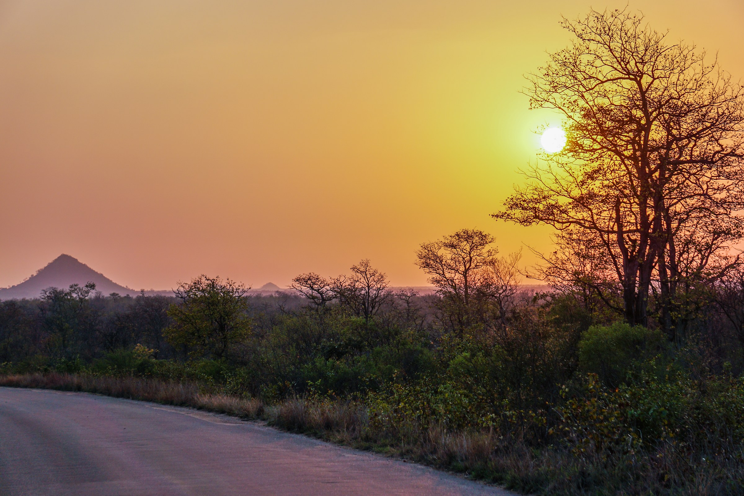 sunrise in the kruger park