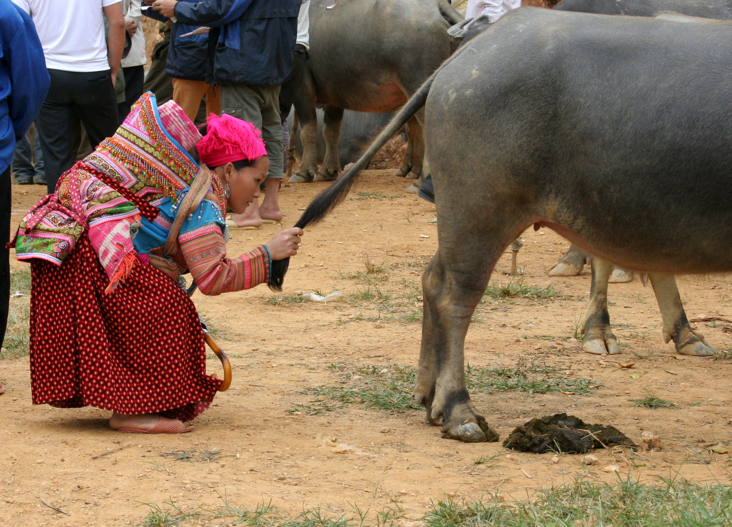 Market - careful assessment