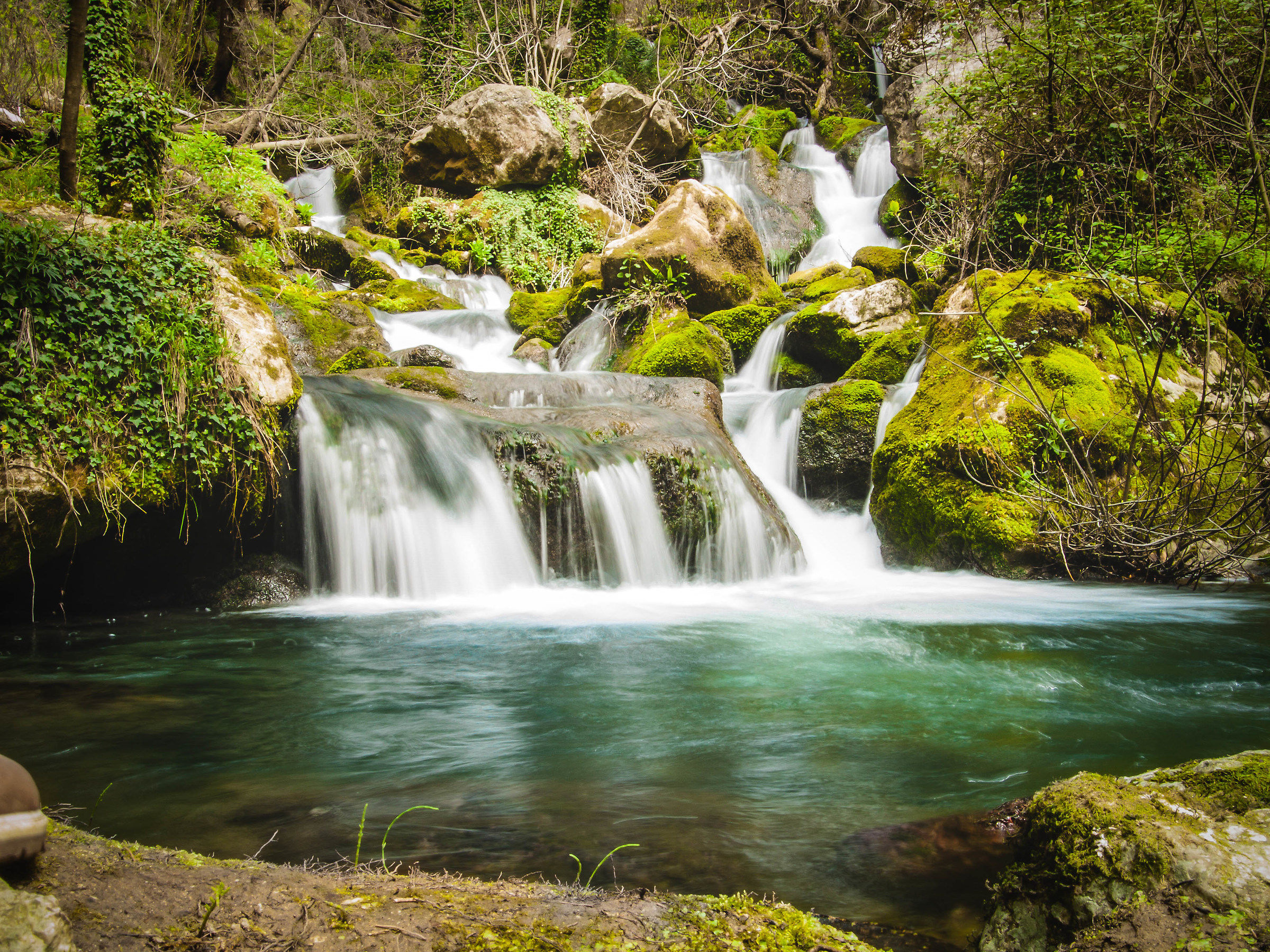 Cascata e piscina naturale nel Bosco degli Zappini