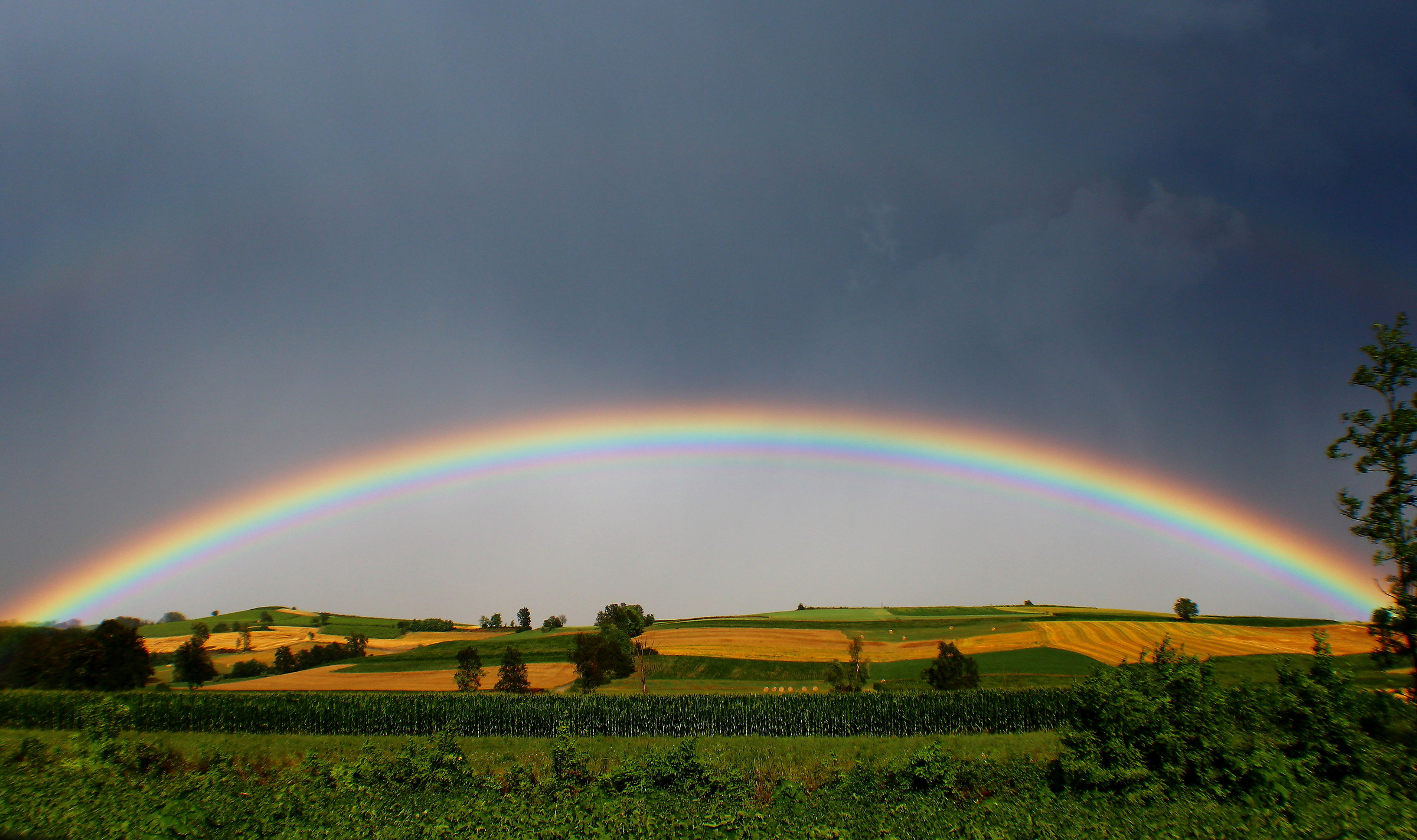 The beauty of colors