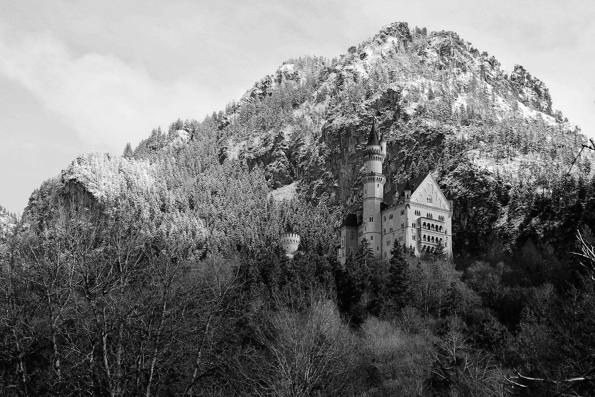 Castle in black and white