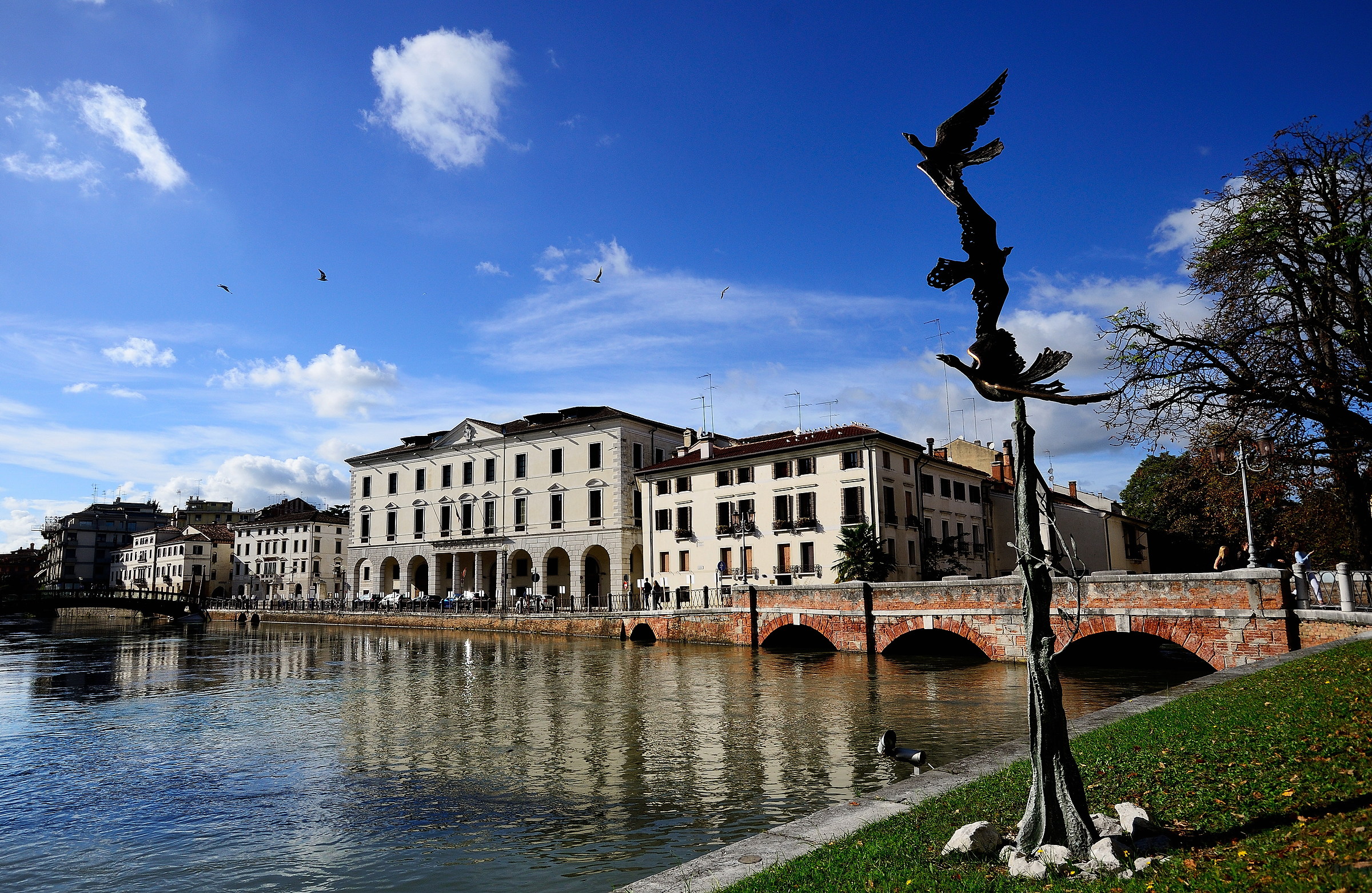 Università di Treviso