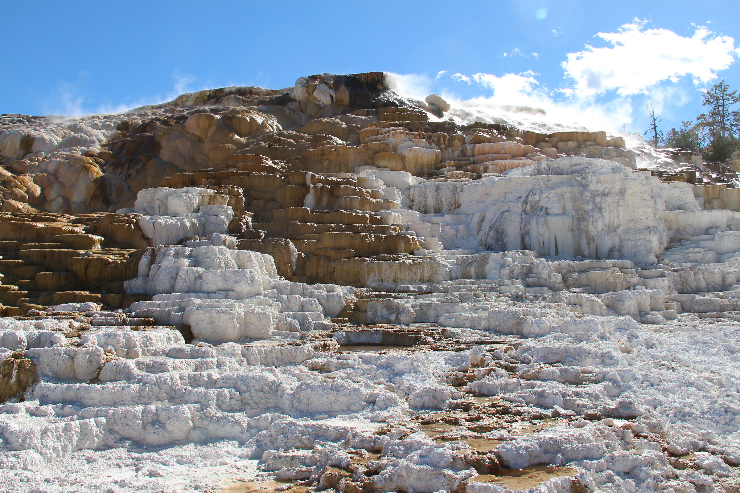 Yellowstone Palette Spring