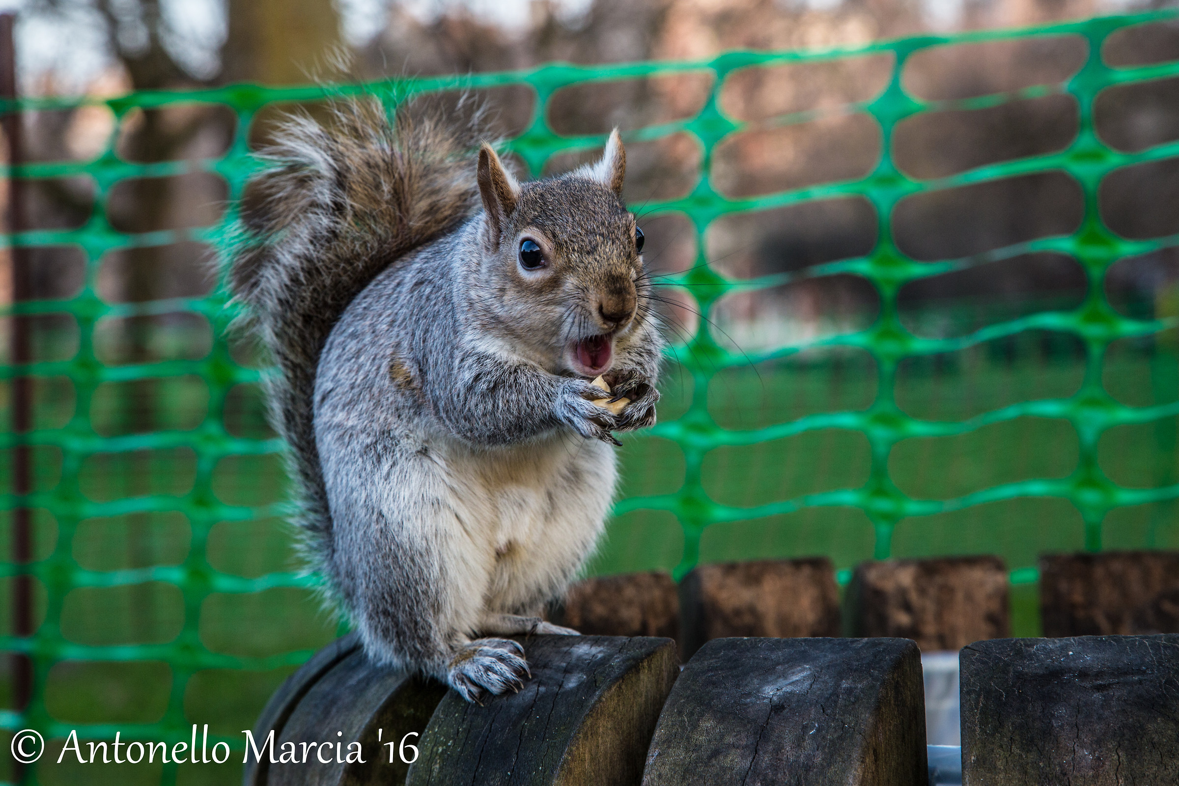 Lasciami in pace ...