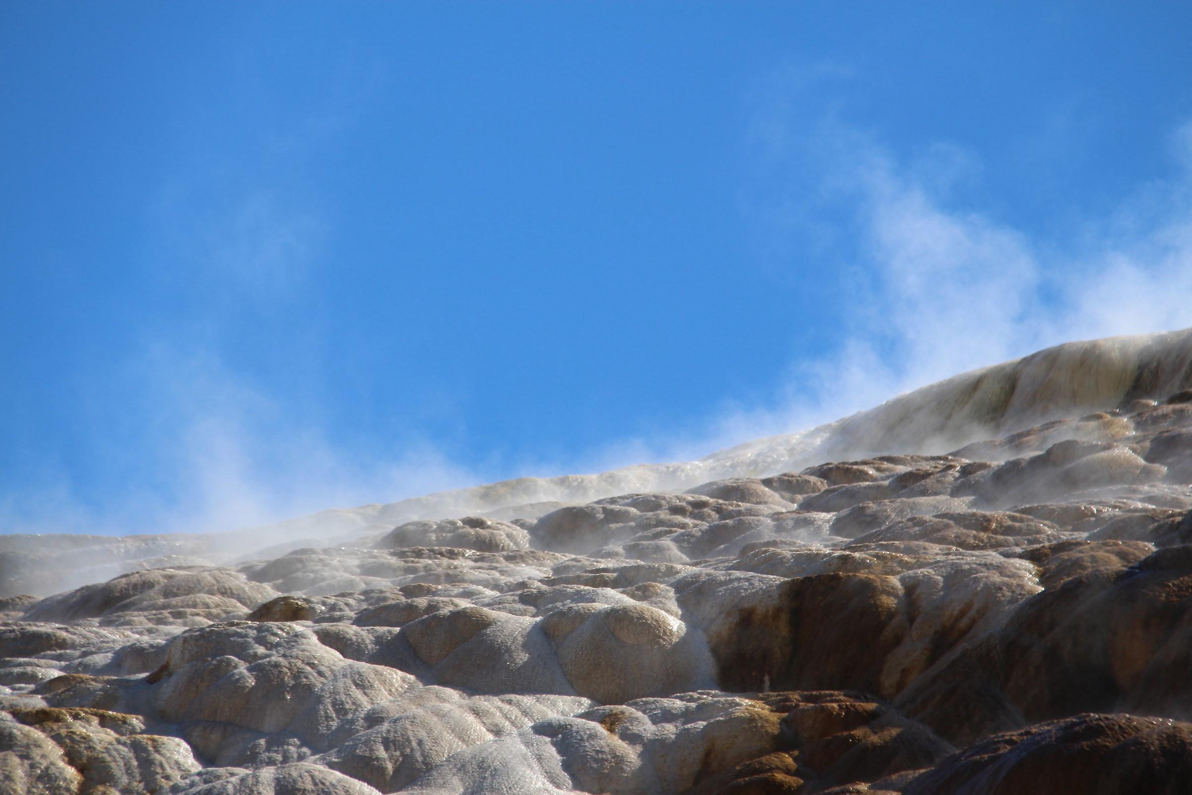 Yellowstone Palette Spring