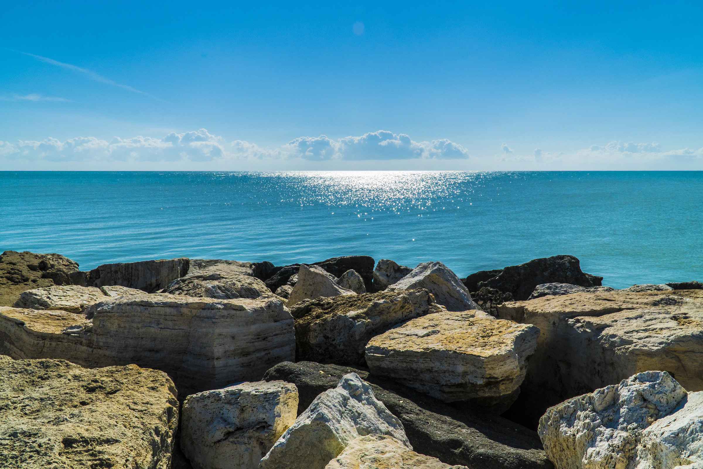 Una splendida mattina