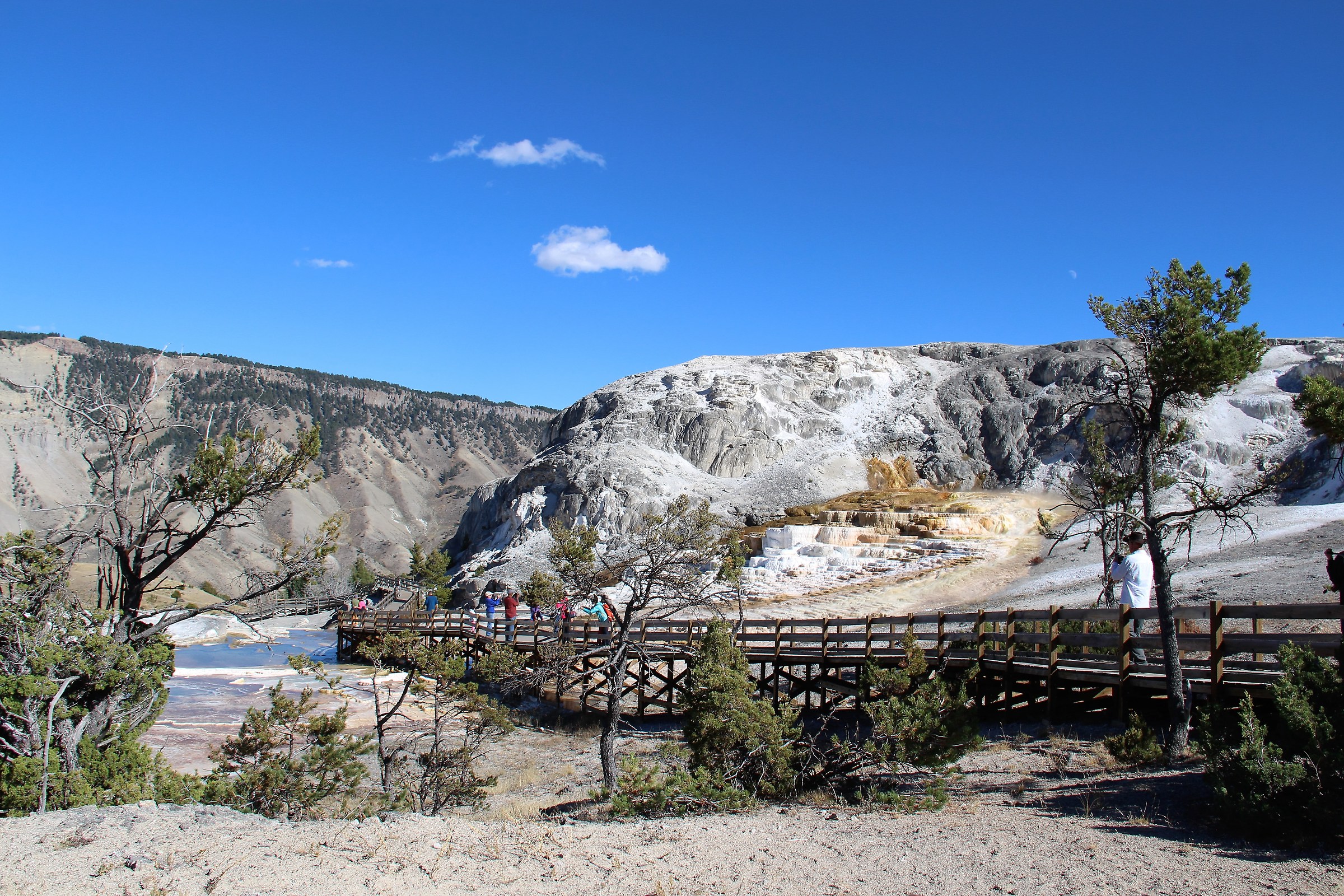 Yellowstone Geyser
