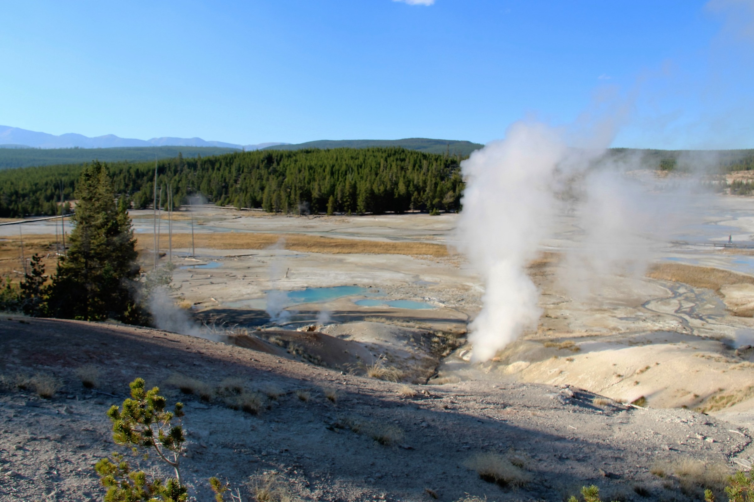 Yellowstone Geyser