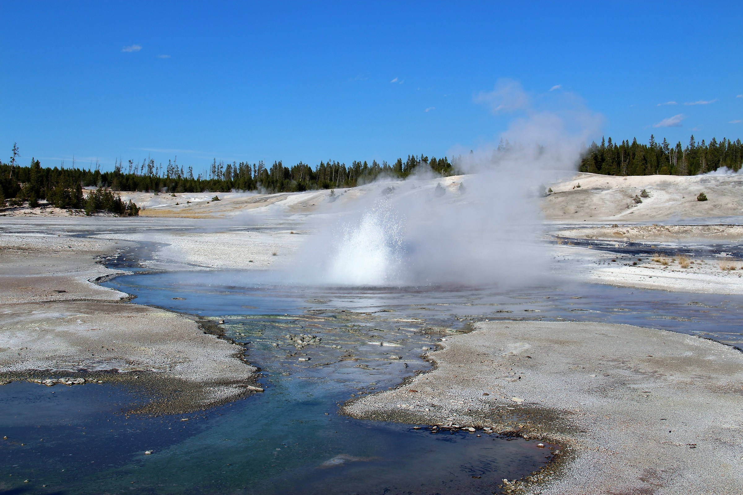 Yellowstone Geyser