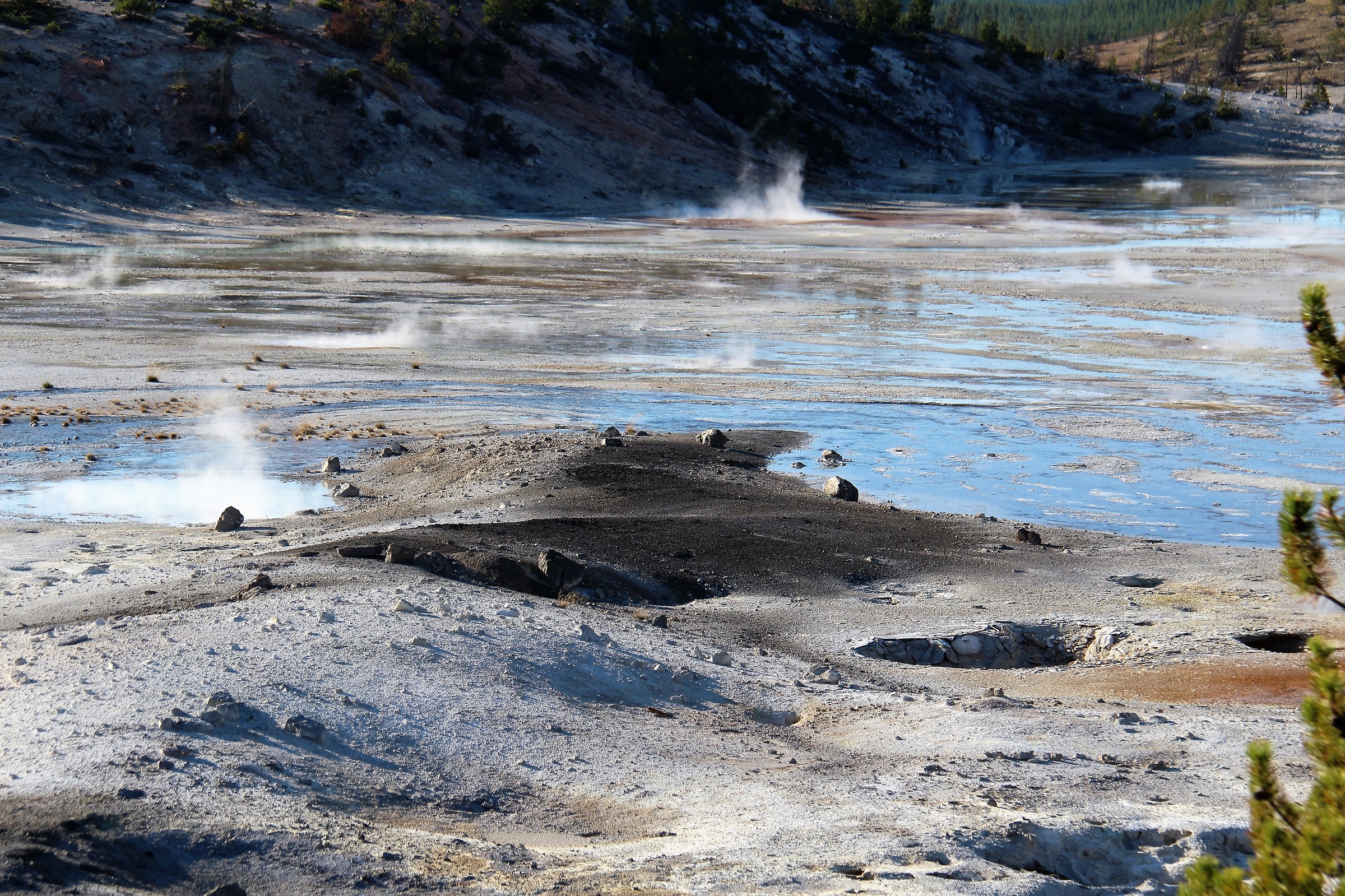 Yellowstone Geyser