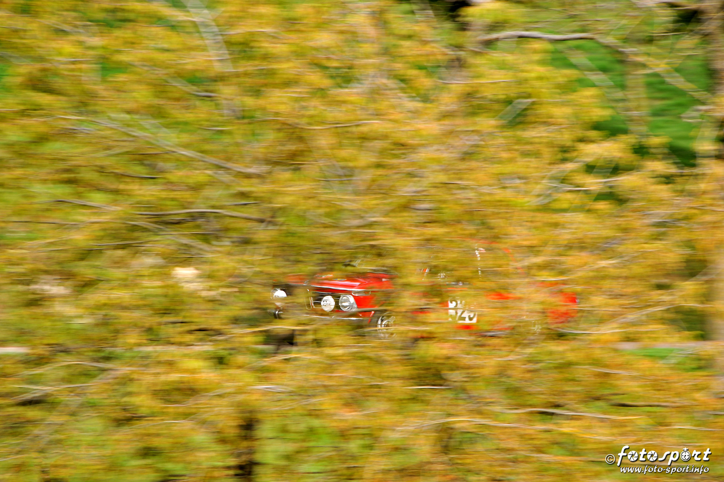 I see / I do not see