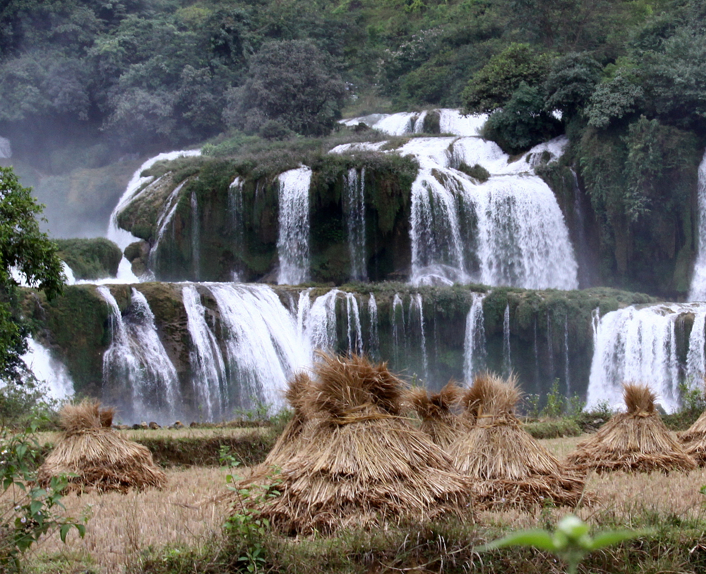 ban play - detian falls