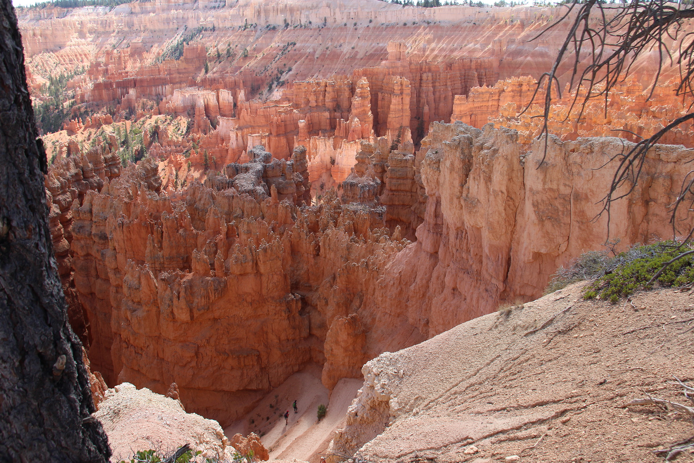 Bryce Canyon Utah