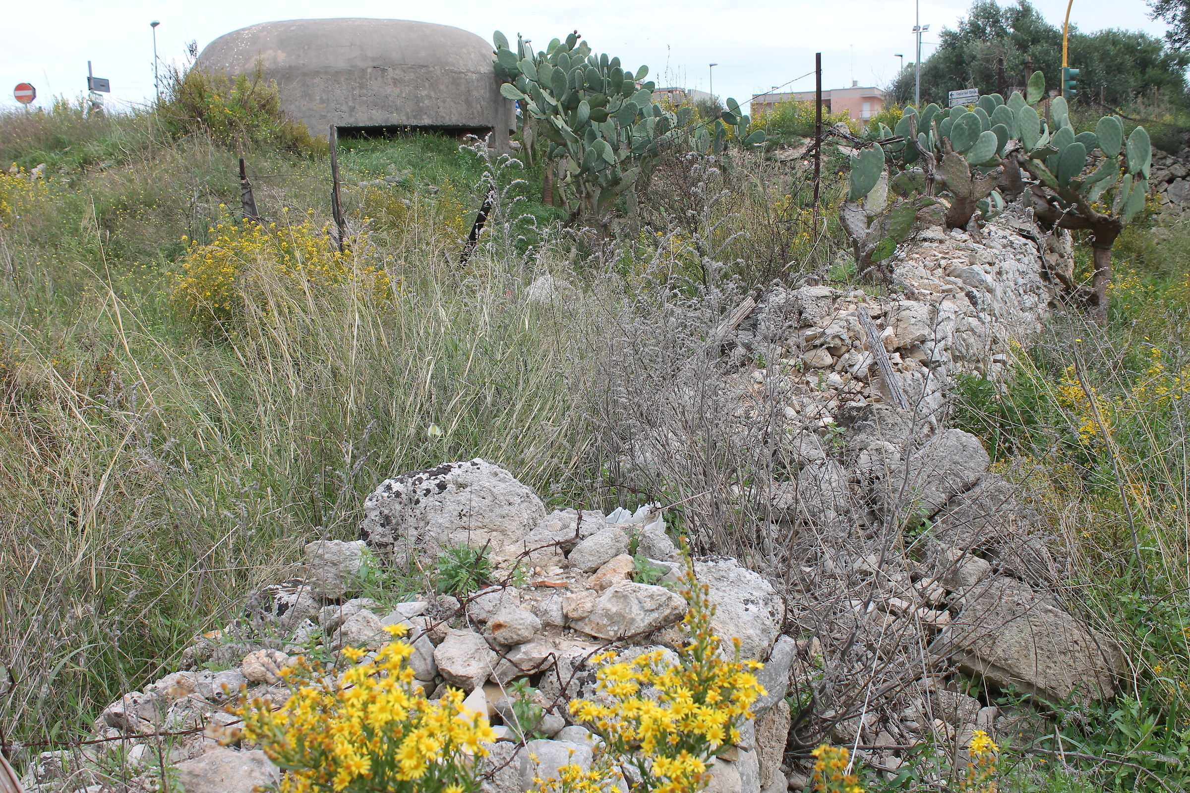 bunker inosservato su strada trafficata